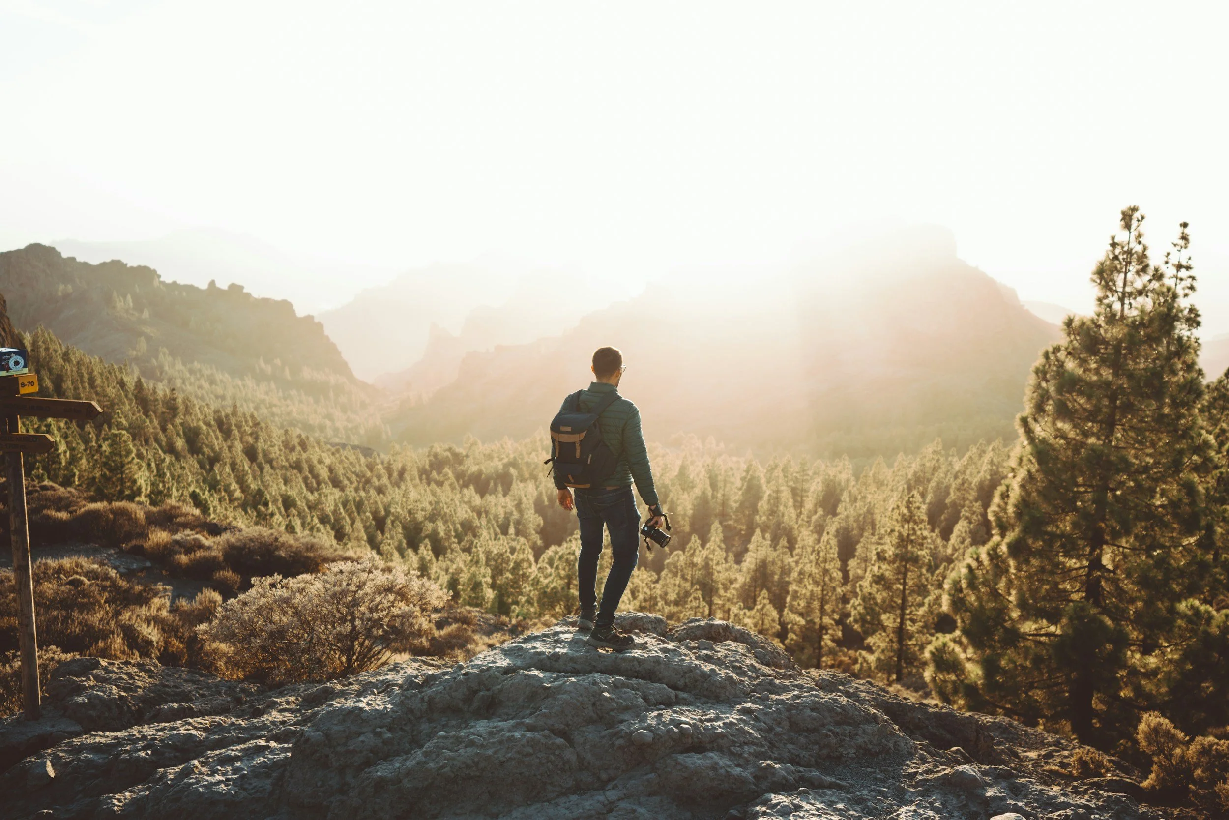 Discipline that Leads to Freedom