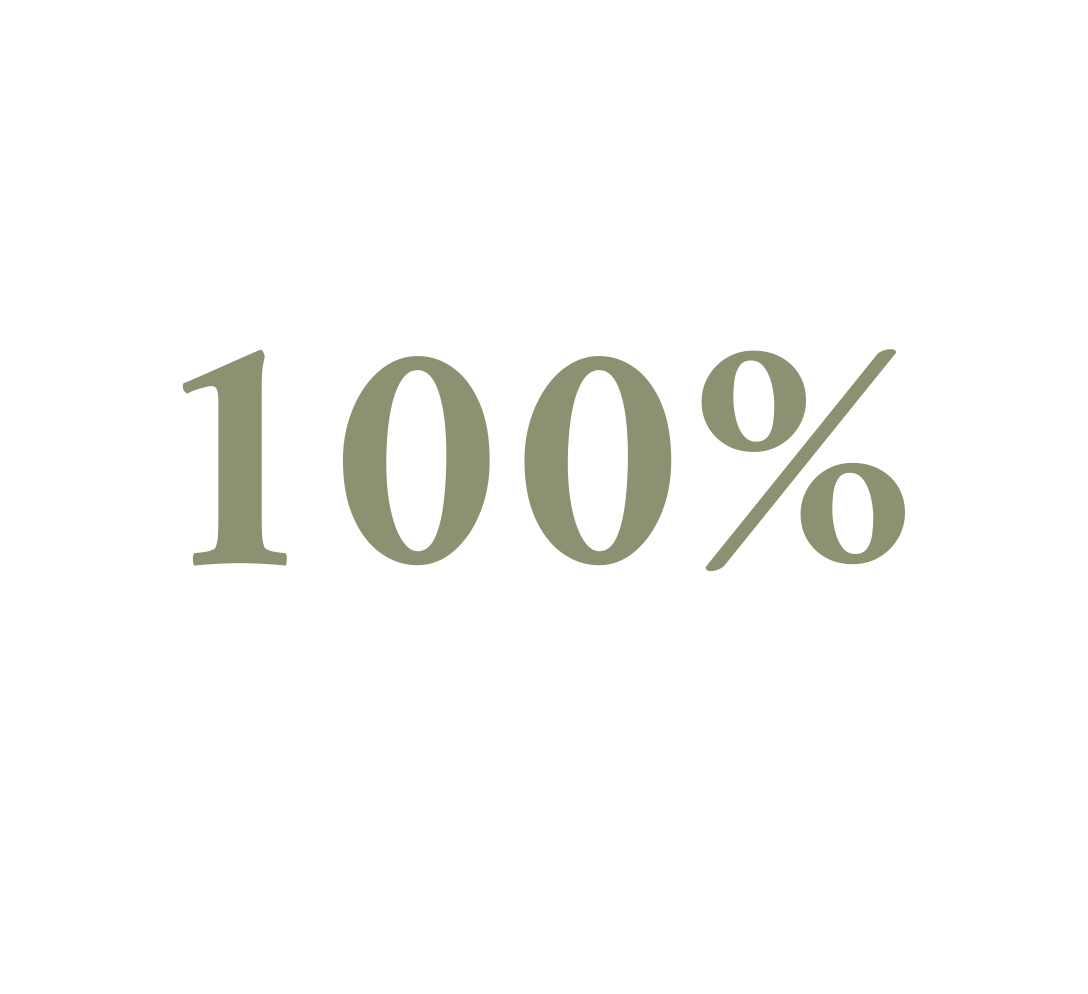 Circular progress chart showing 100% completion with blue segments around a central white area displaying "100%" in bold black font.