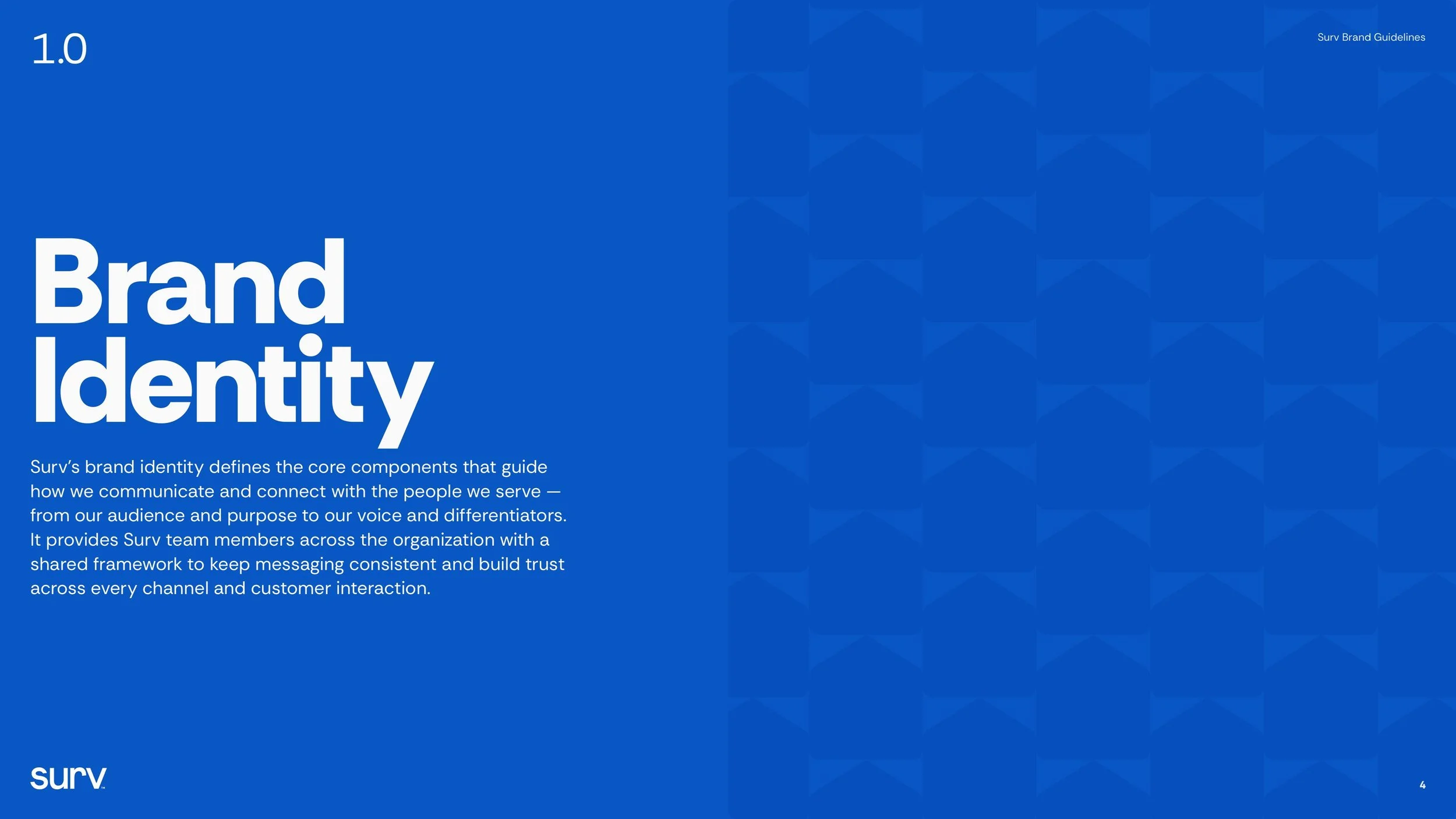 Surv_BrandGuidelines_R2-04.jpg