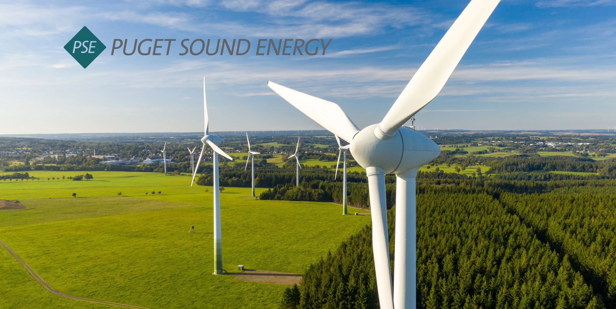 Turning a growing clean energy portfolio into a clear path for every customer