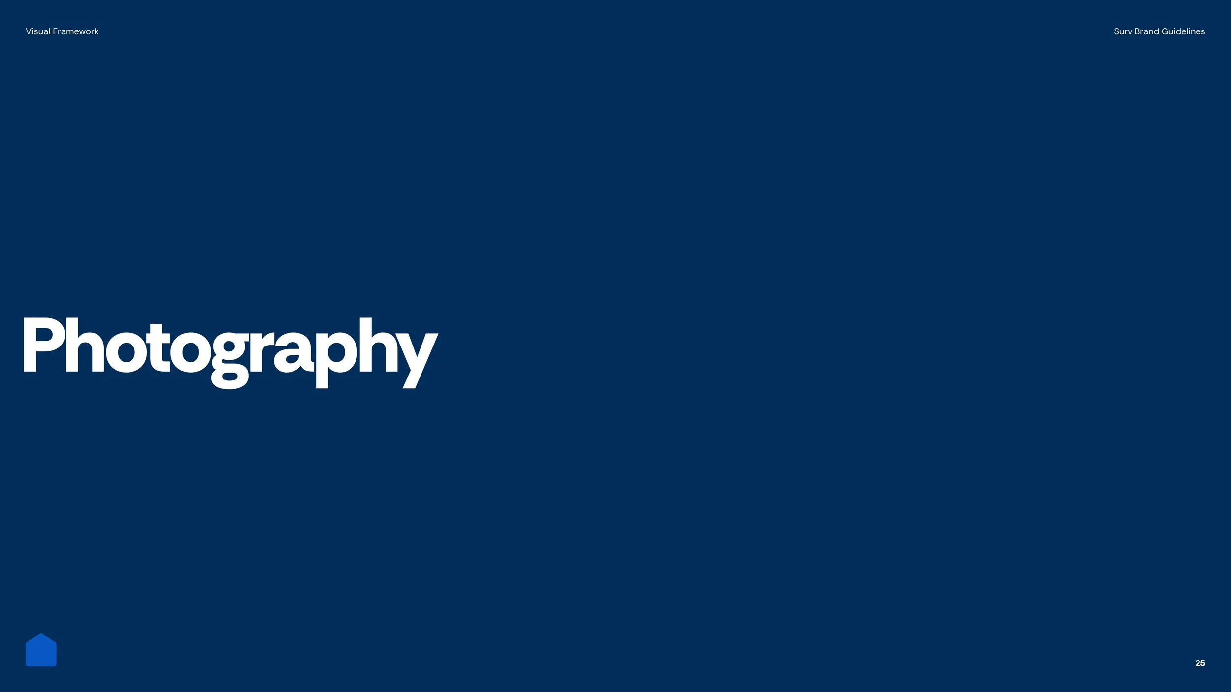 Surv_BrandGuidelines_R2-25.jpg