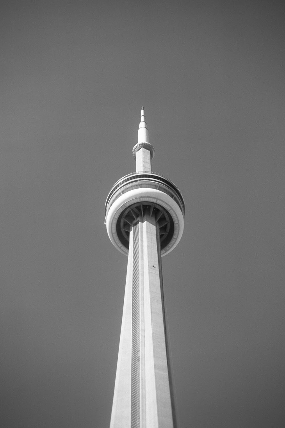 Matthew_White_Box_Brownie_Toronto01.jpg
