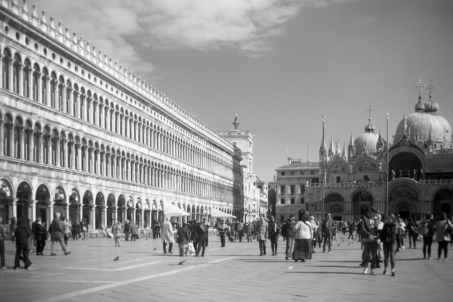 Matthew_White_Box_Brownie_Venice01.jpg