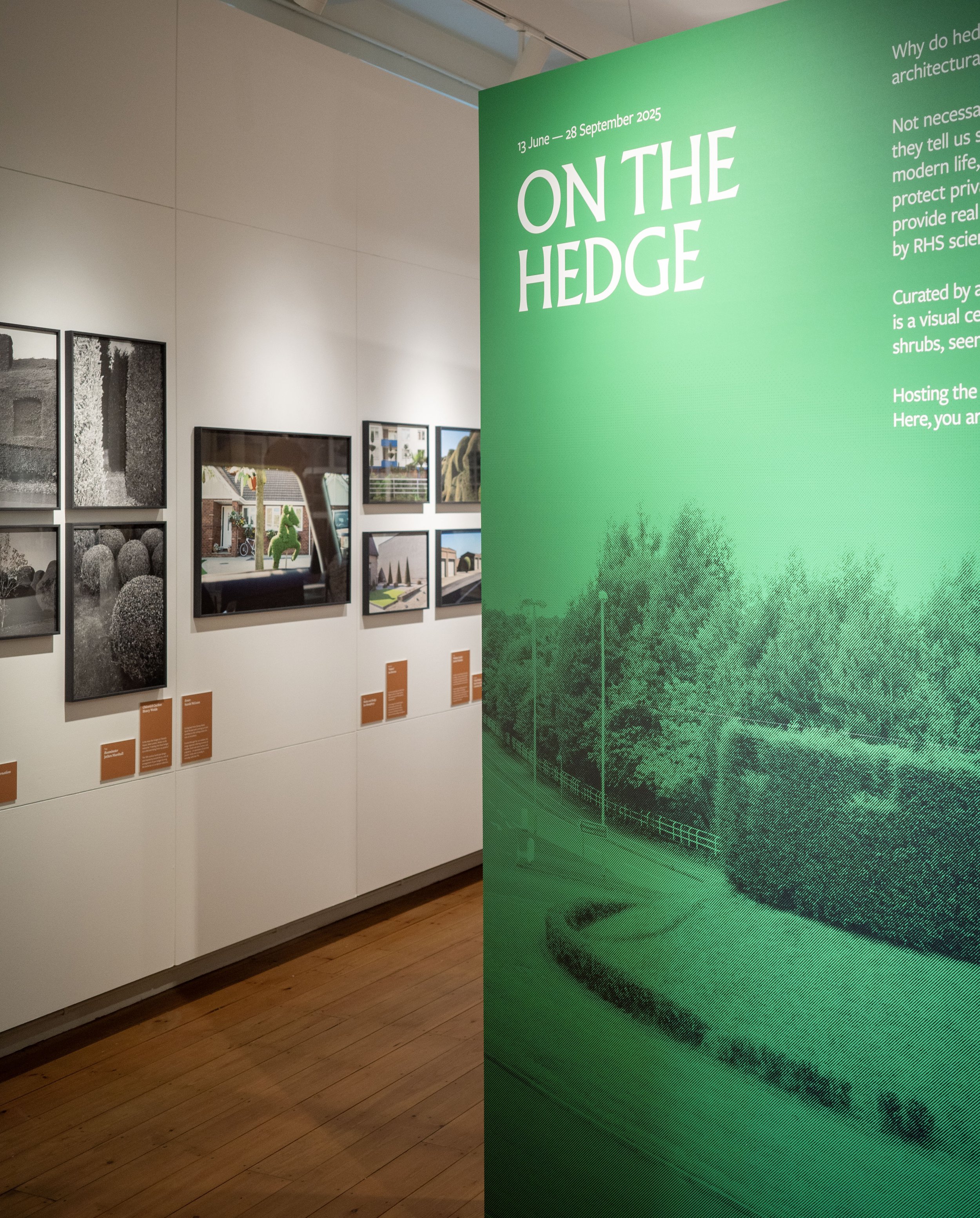 Hedges_02.jpg