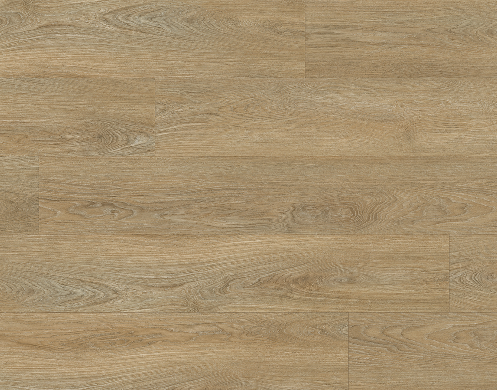 University Ave - CW12012 — Citywide LVT