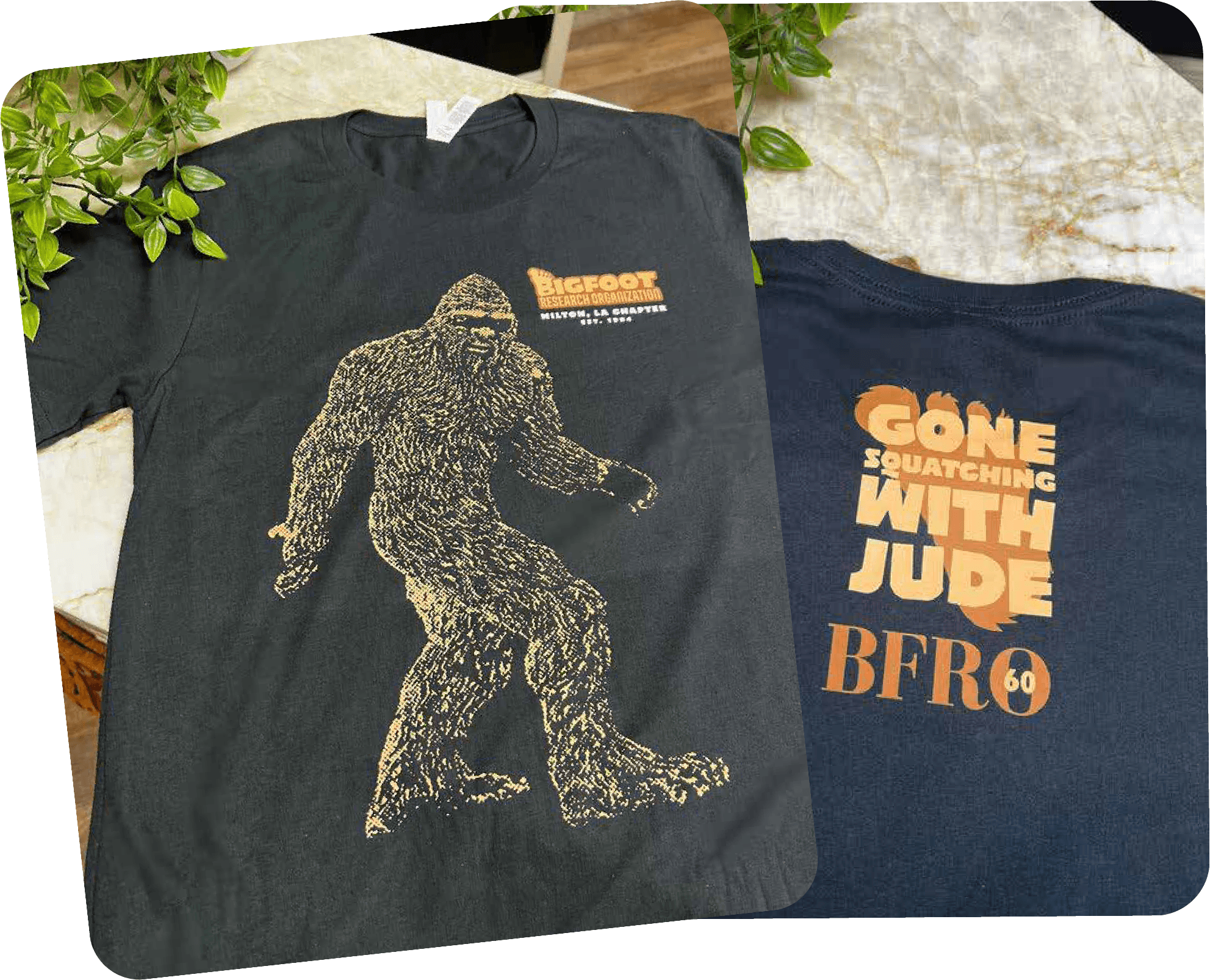 Two T-shirts, one featuring a vintage-style illustration of Bigfoot and the other with a phrase reading 'GONE SQUATCHING WITH JUDE BFRO' in bold orange and cream letters, laid on a table with some green leaves nearby.