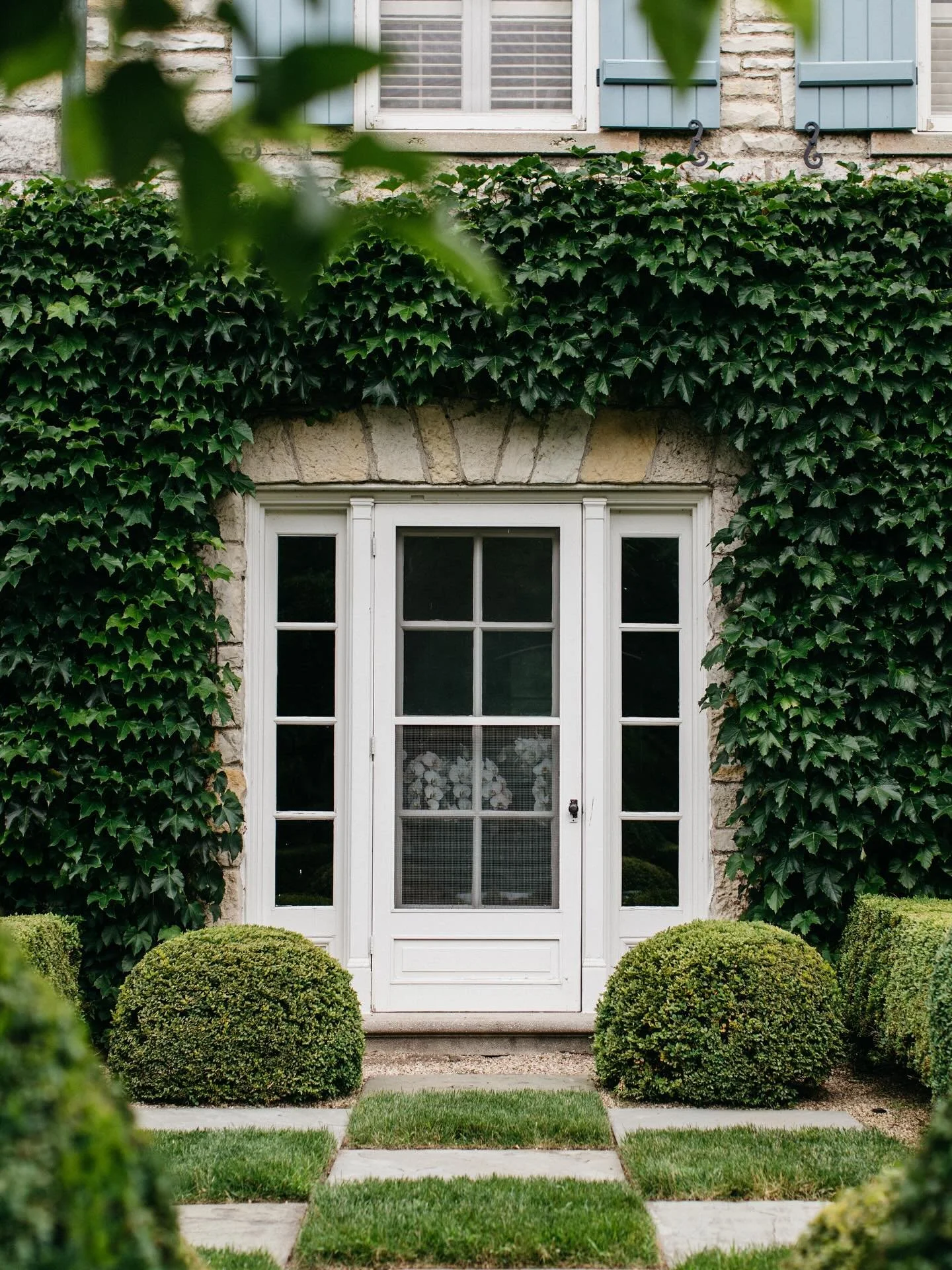 Vignettes of lush summer green as we prepare for fall colors 🍃 Shot for @rosboroughpartners