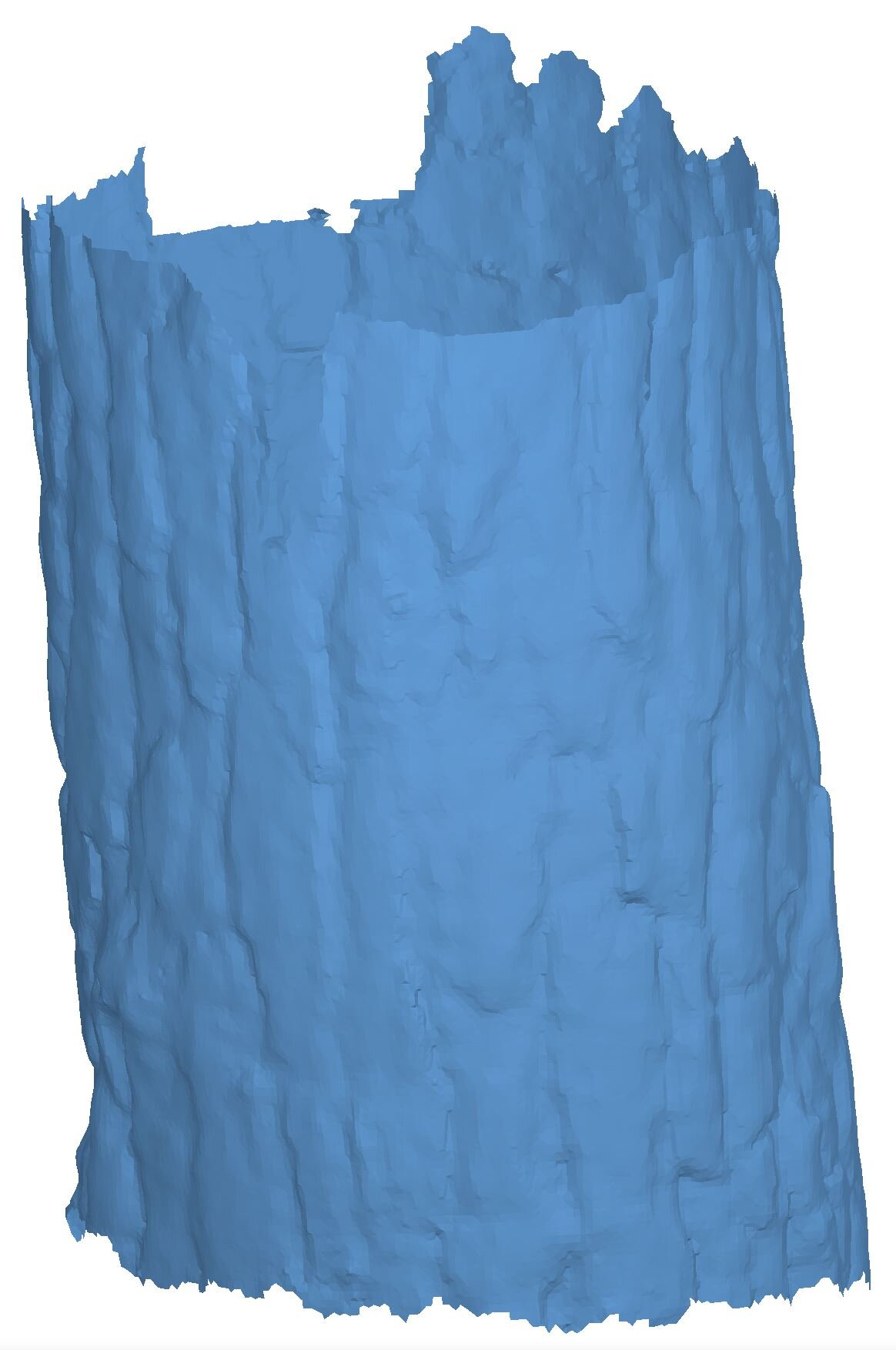 Red Pine-Surface_01.JPG