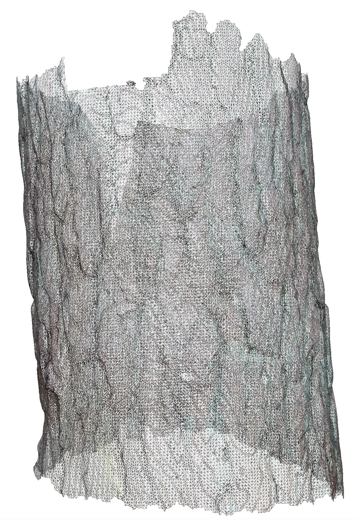 Red Pine-Colour wireframe_01.JPG