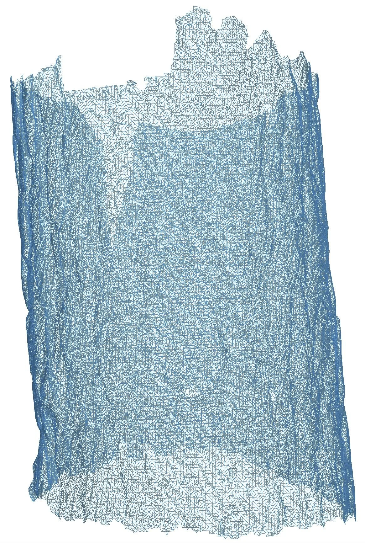 Red Pine-Surface Wireframe_01.JPG