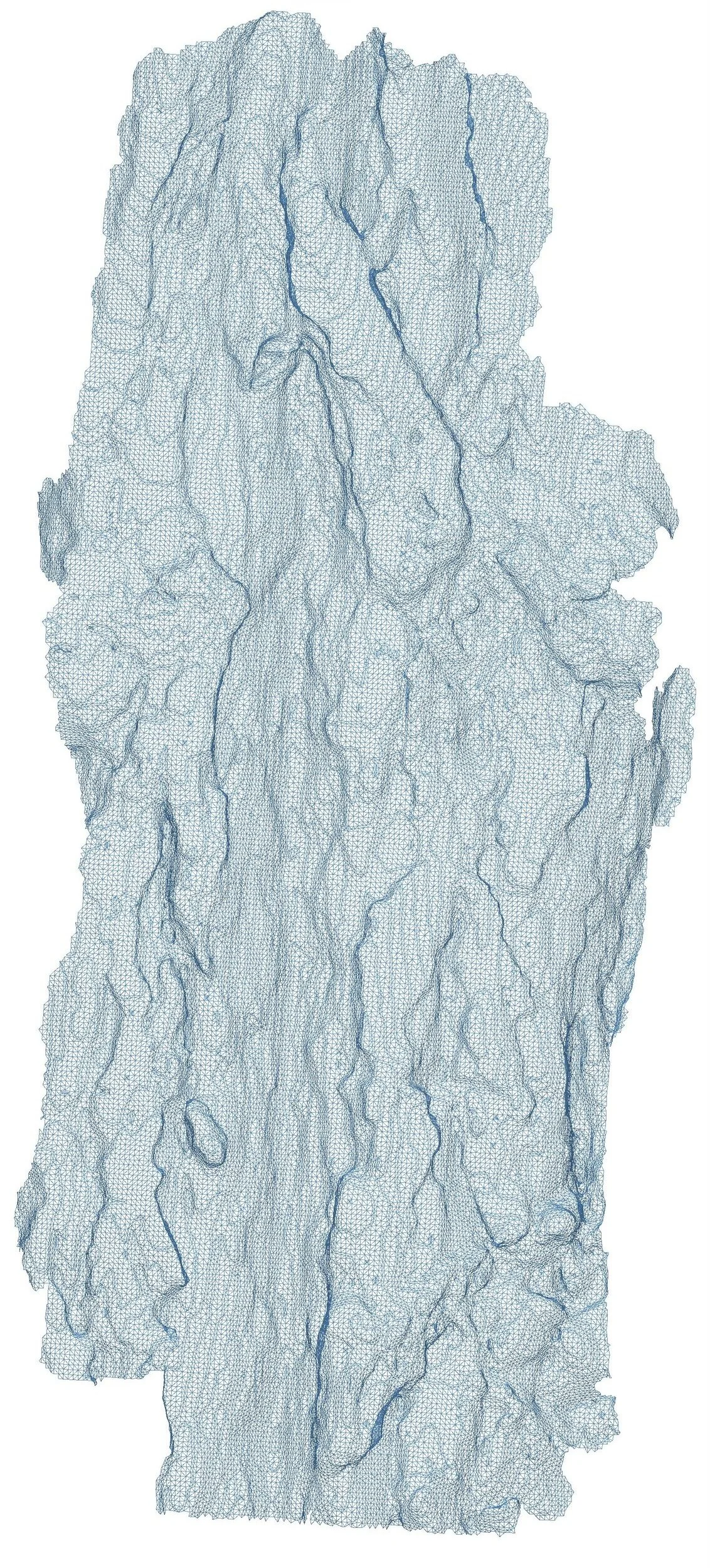 Maritime+Pine-Surface+Wireframe_01.jpg