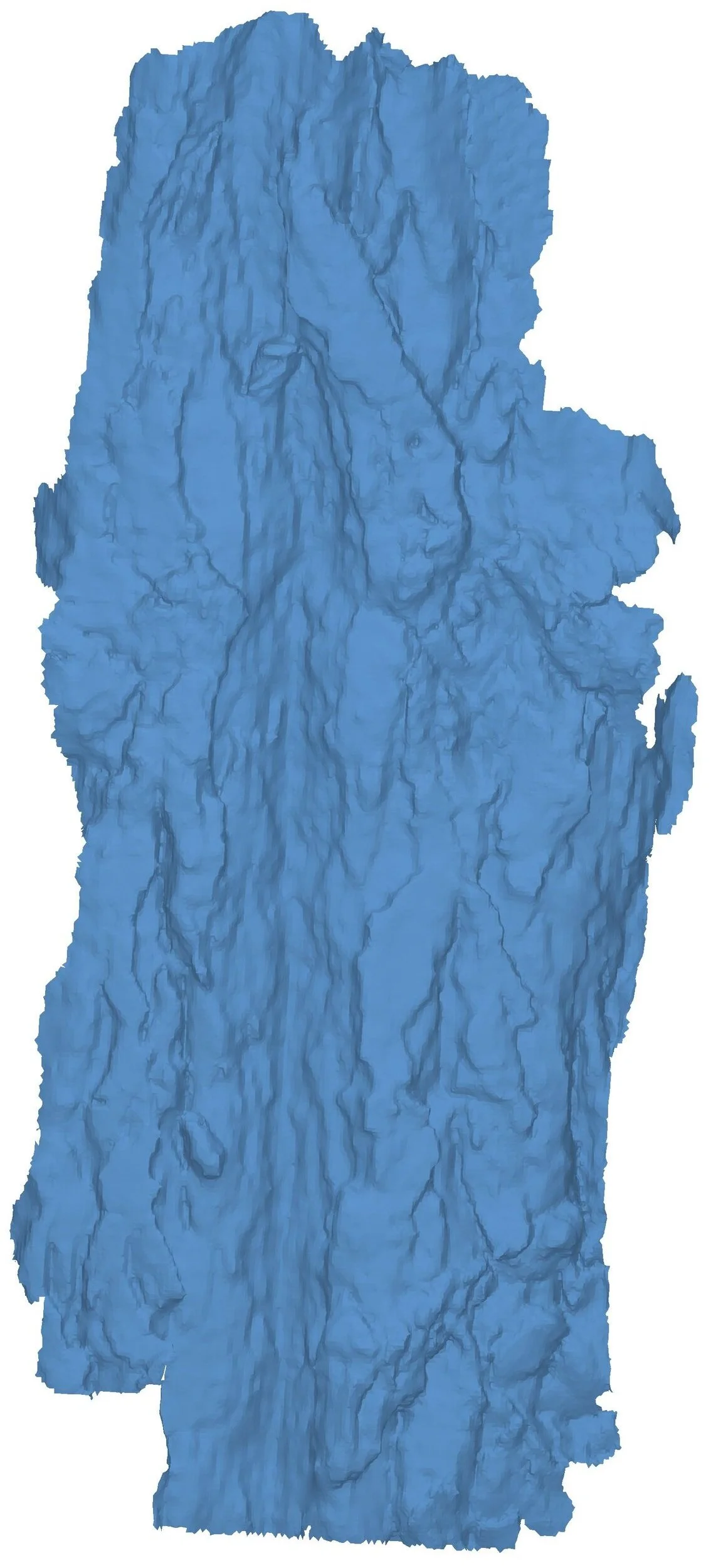 Maritime+Pine-Surface_01.jpg