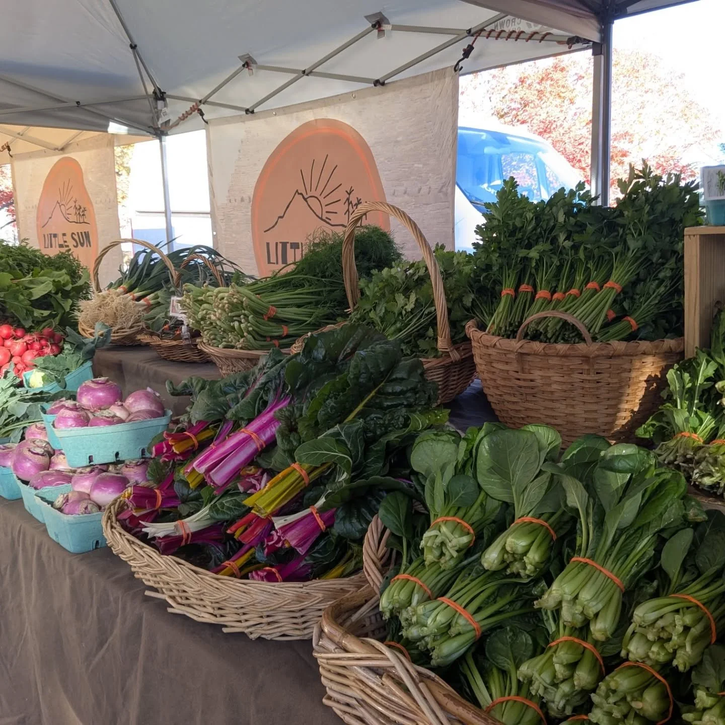 And that's a wrap. Couldn't have asked for a better final market. So grateful for all the loving support of farmers market customers this year. Now it's time to rest the soil and do some 2026 crop planning 😉