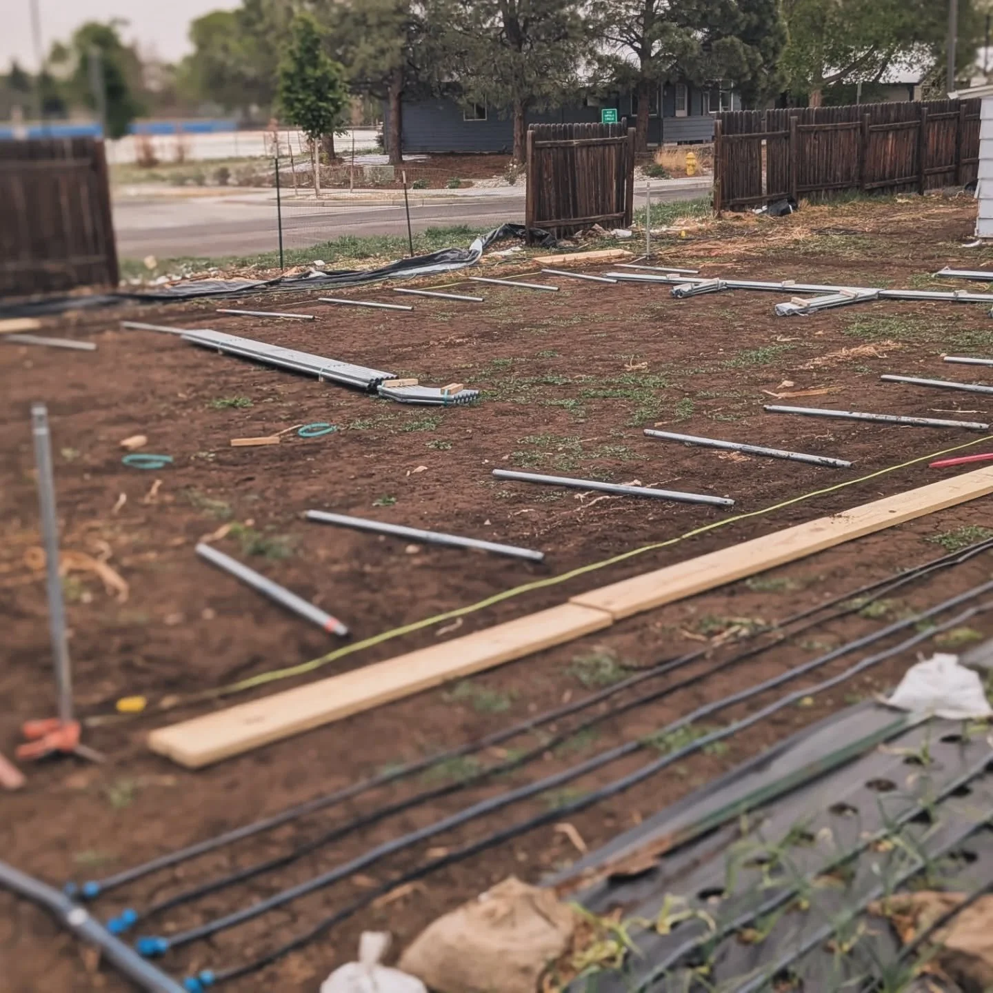 We got a new tunnel built today! And I'm loving it 💗 
Thank you @niftyhoops  and @here_and_now_farm 
Couldn't be more grateful for all the amazing helpers 🙏
