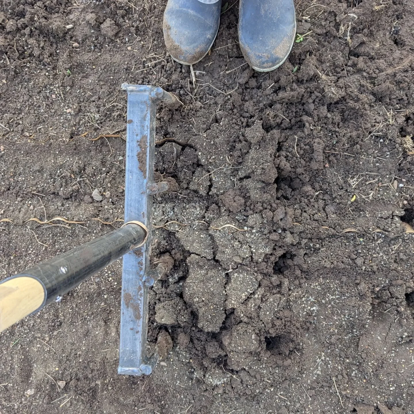 This mini broakdfork from @neversinkfarmtools is my kind of style. It's lightweight. Which means I'm more eager to carry it around with me all day (vs. leave it in the shed bc it's so far away and heavy). 

My current no-till bed prep method: irrigat