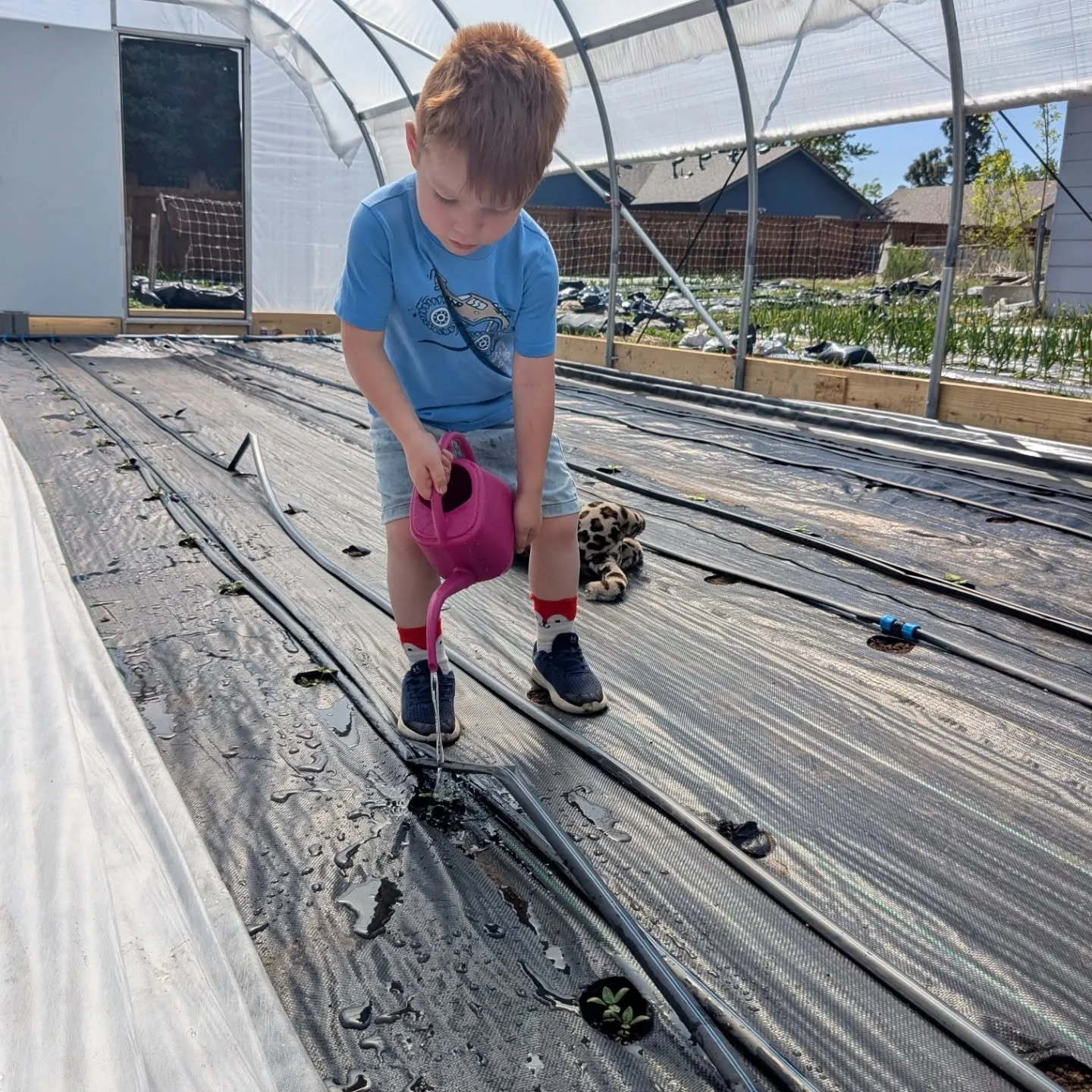 Happy for these two worker bees in training. So many funnies happening all the time. Today I took a nap next to my toddler's bed (where he was supposed to be napping). I woke up alone with the toddler sleeping in my bedroom 😂
