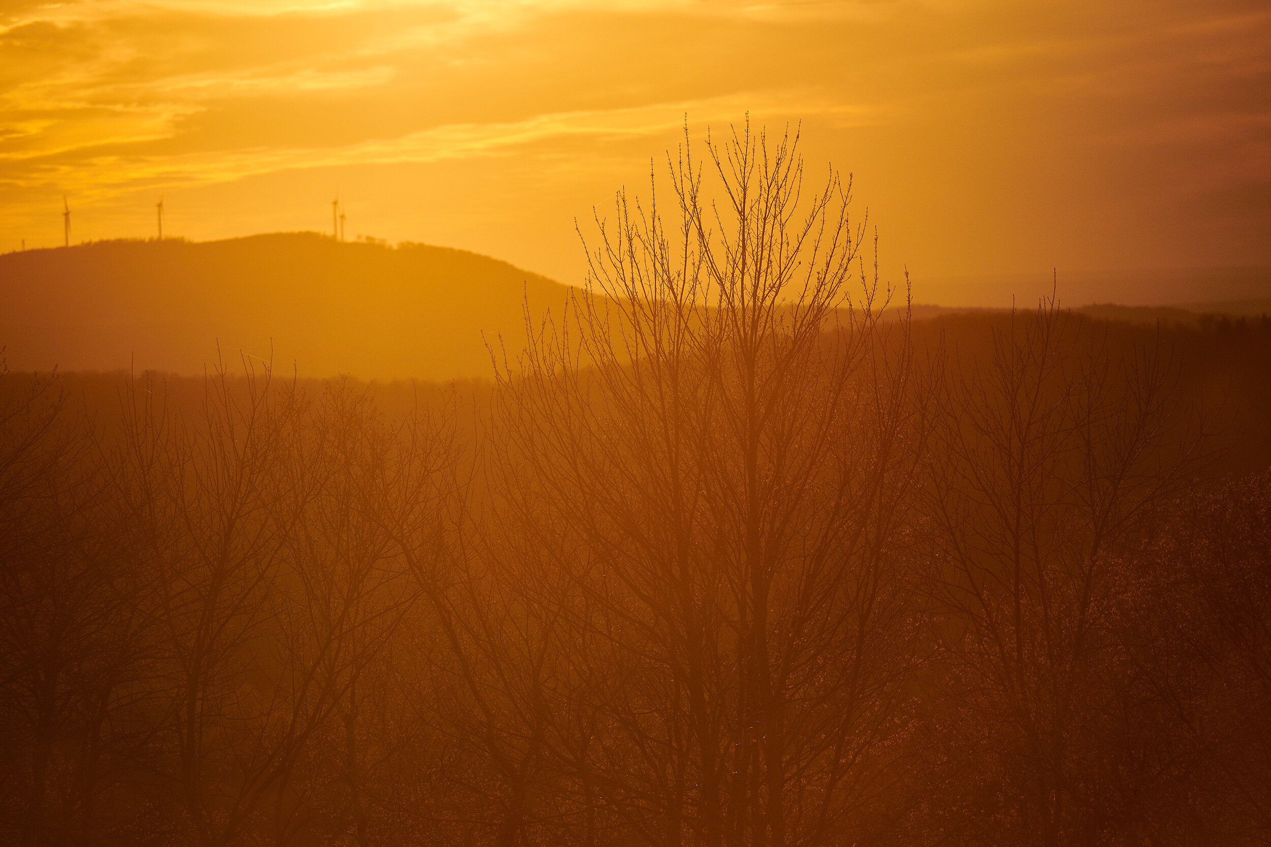 D20-05-12_0064.jpg