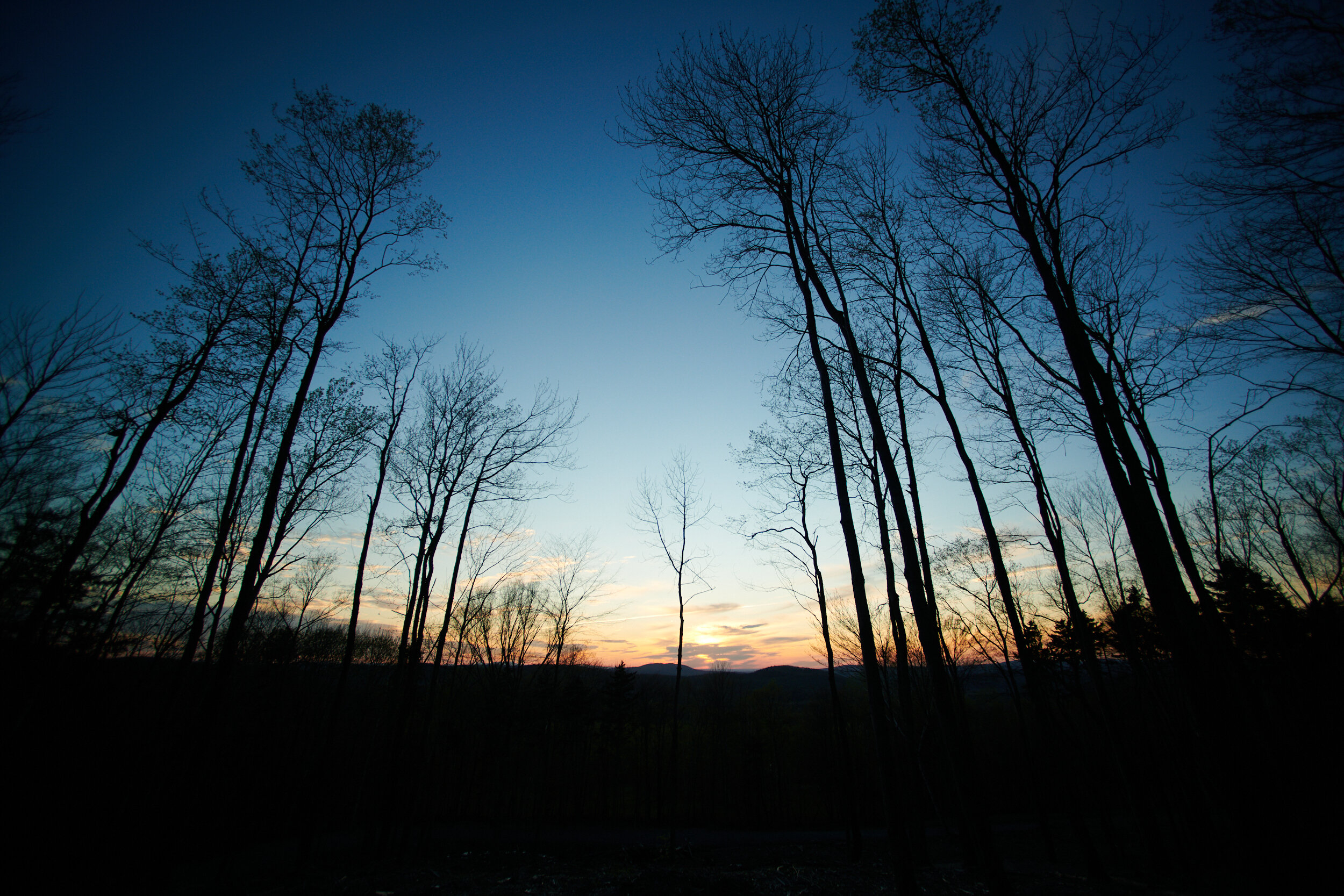 D20-05-12_0162.jpg