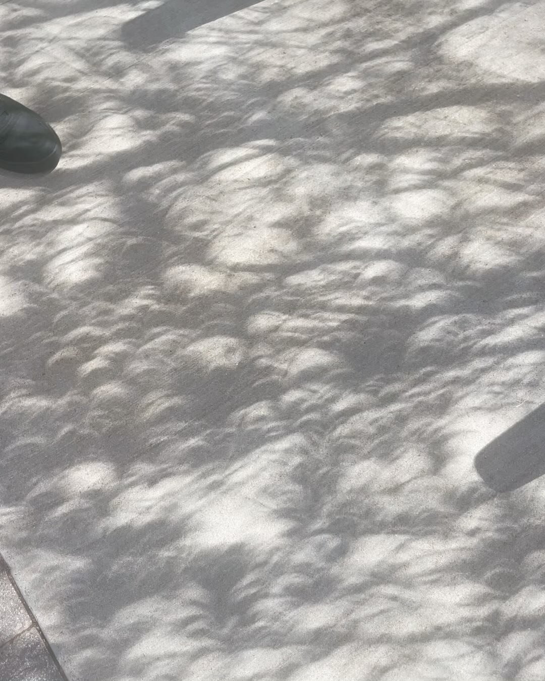 Alive during an eclipse 🌔

⚠️ Just images of the shadows ⚠️ 

Last slide looked like a painted birch tree branch

Thanks for the glasses 👓 @sciencemuseumok 🙏🏾