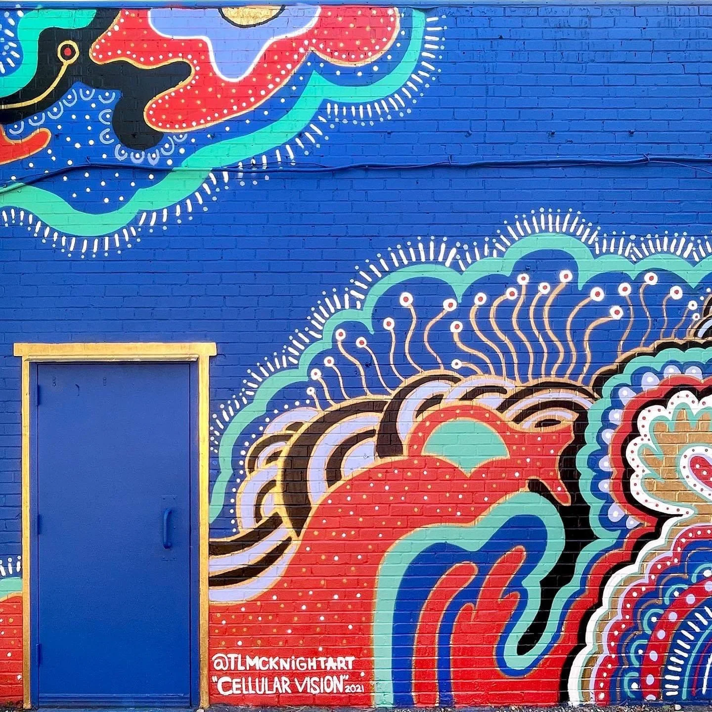 "Cellular Vision" 14 x 16 ft, Plaza Walls Mural Festival, OKC, 2021