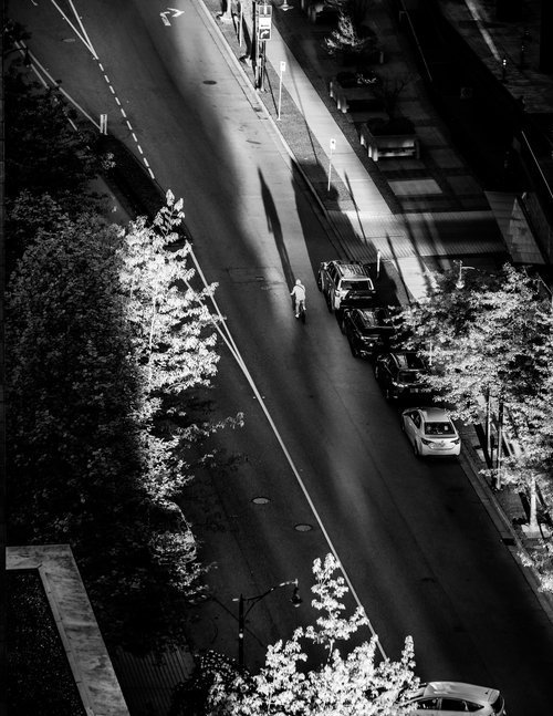 Aerial view of an urban street with a cyclist casting a long shadow. Trees and parked cars line the sidewalk. The scene is in black and white, emphasizing contrast and light patterns.