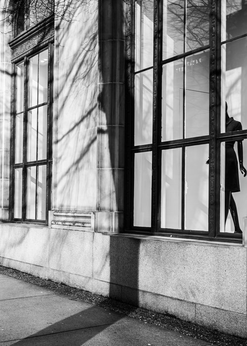 Black and white photo of a building with large windows, shadows of trees cast on the wall, and a mannequin visible inside.