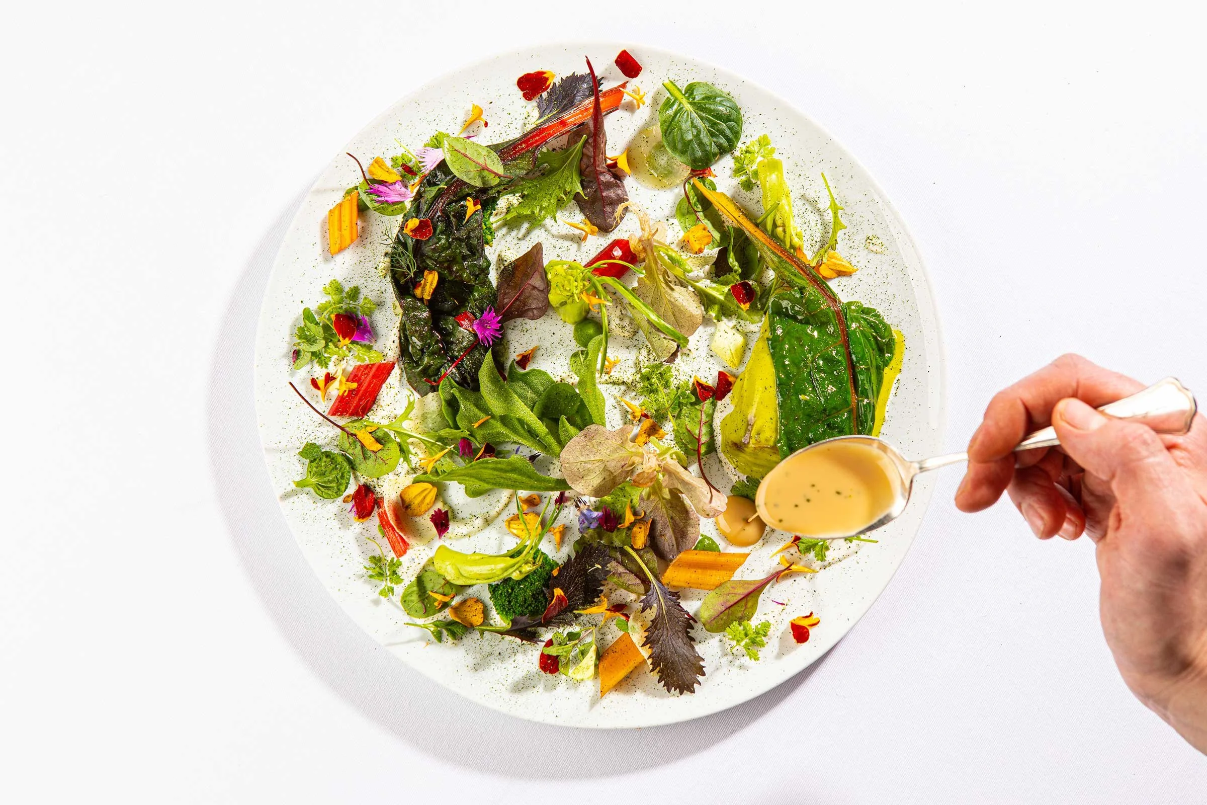 Dine Among the Stars