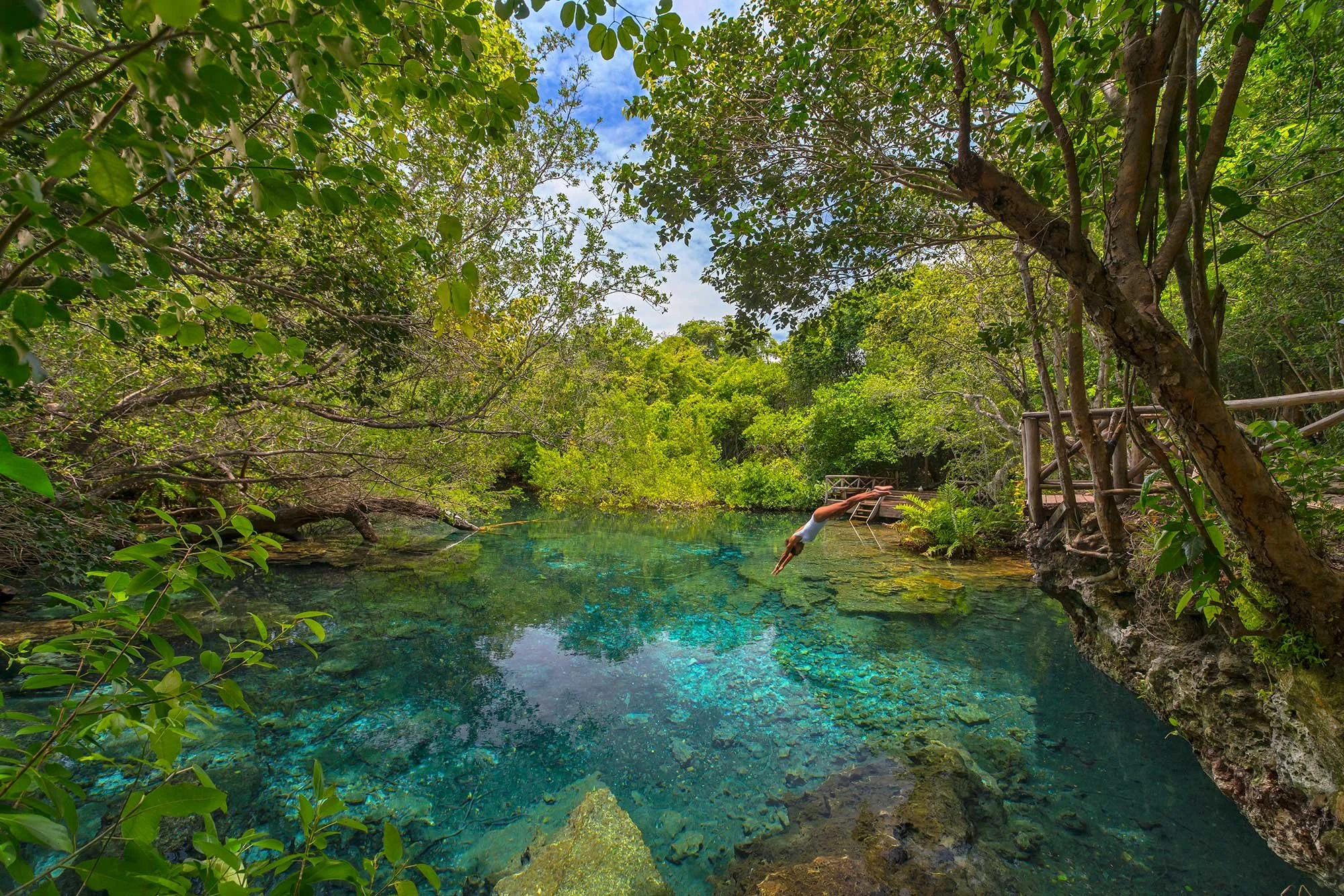 Discover the Colors of Tortuga Bay Puntacana Resort & Club