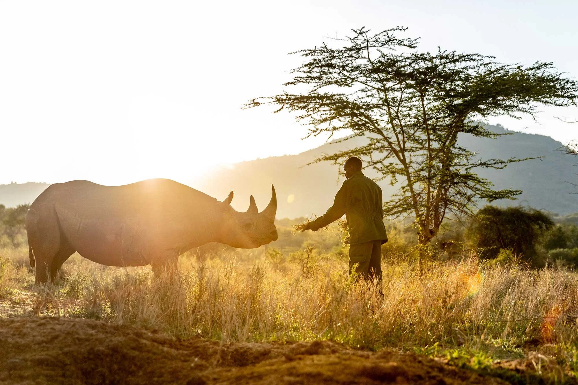2-rescue-rhino4.jpg