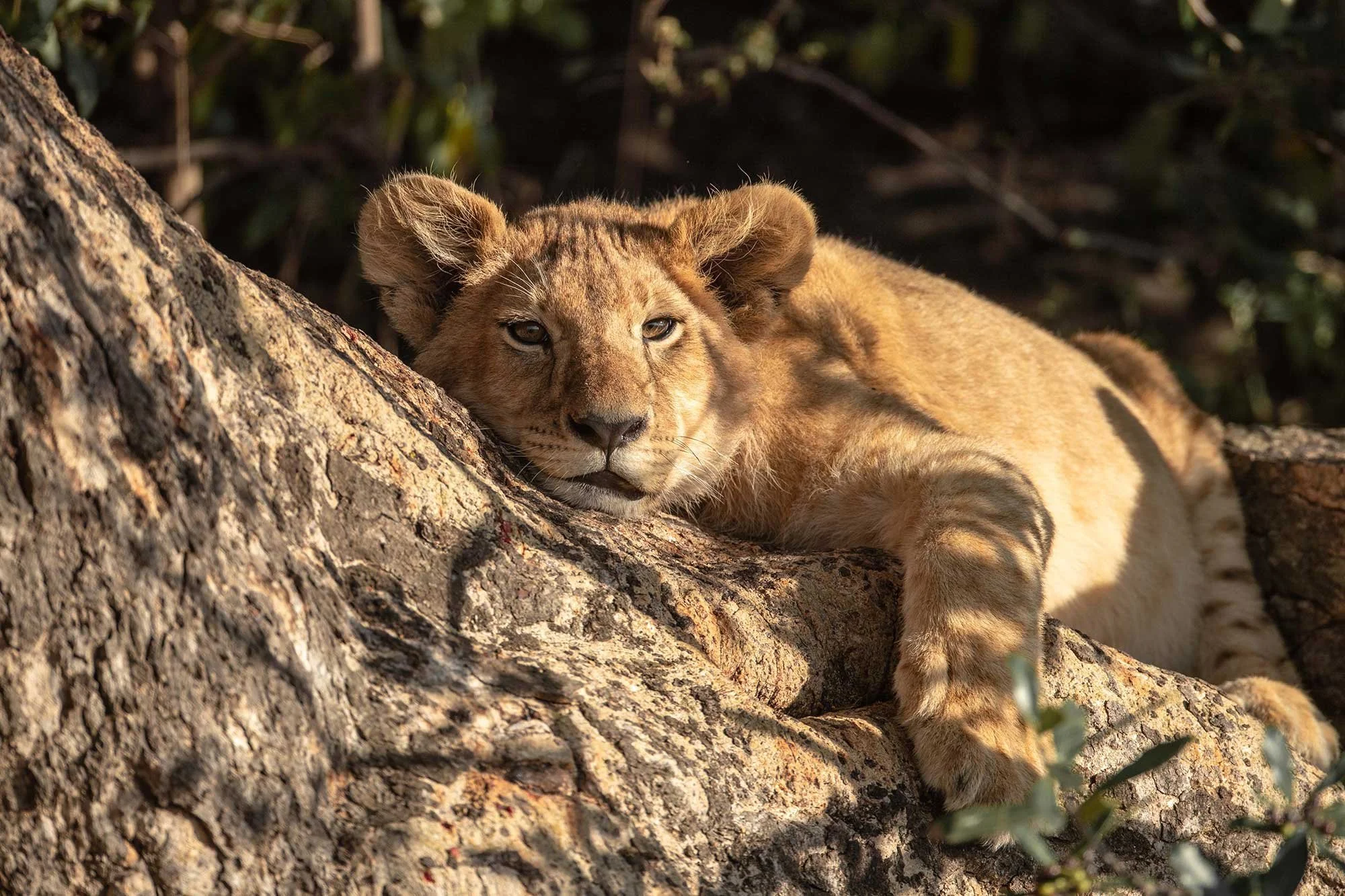 Kenya-75.jpg