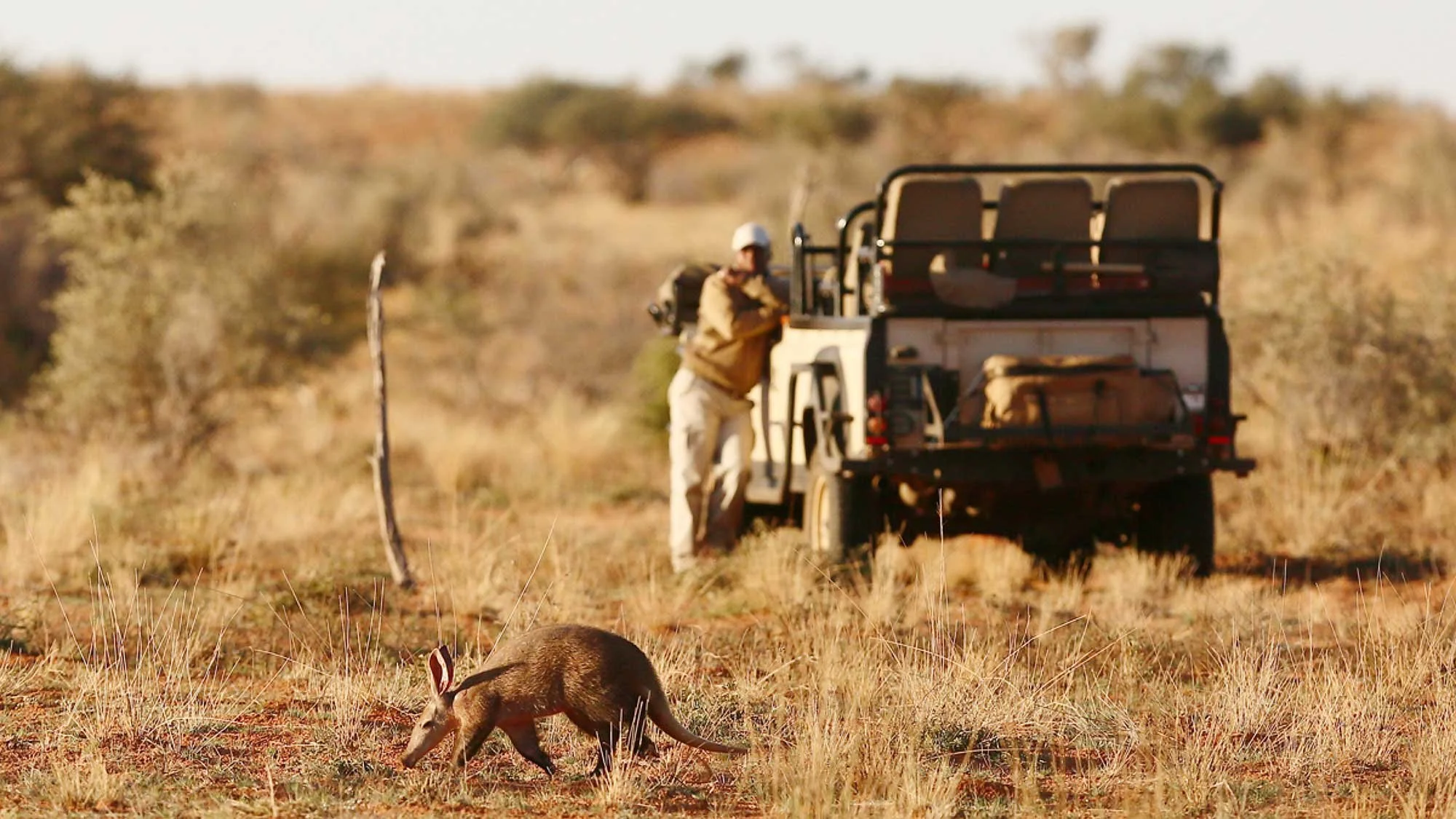 Safari---Private-vehicle(1).jpg