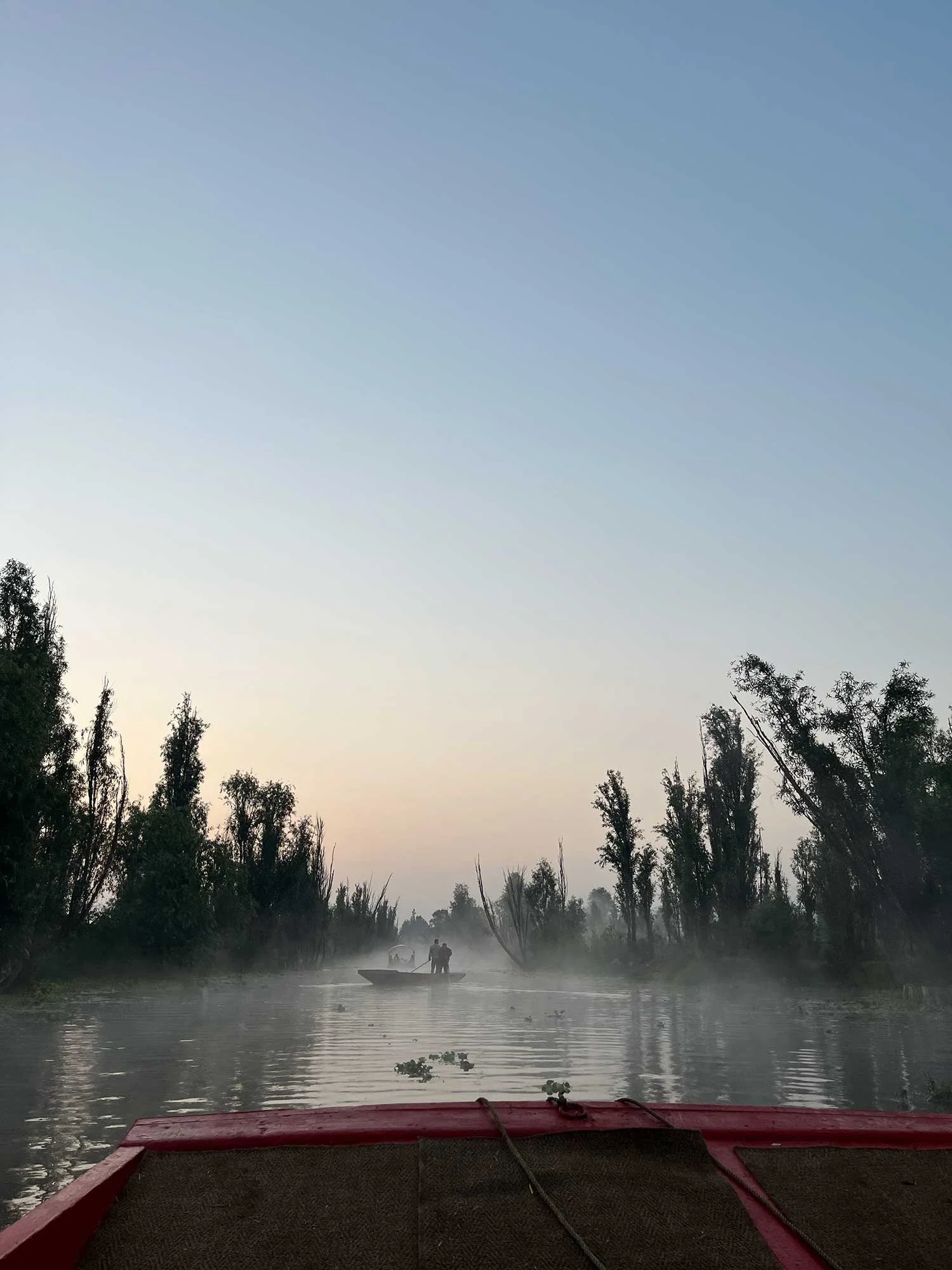 Xochimilco3.jpg