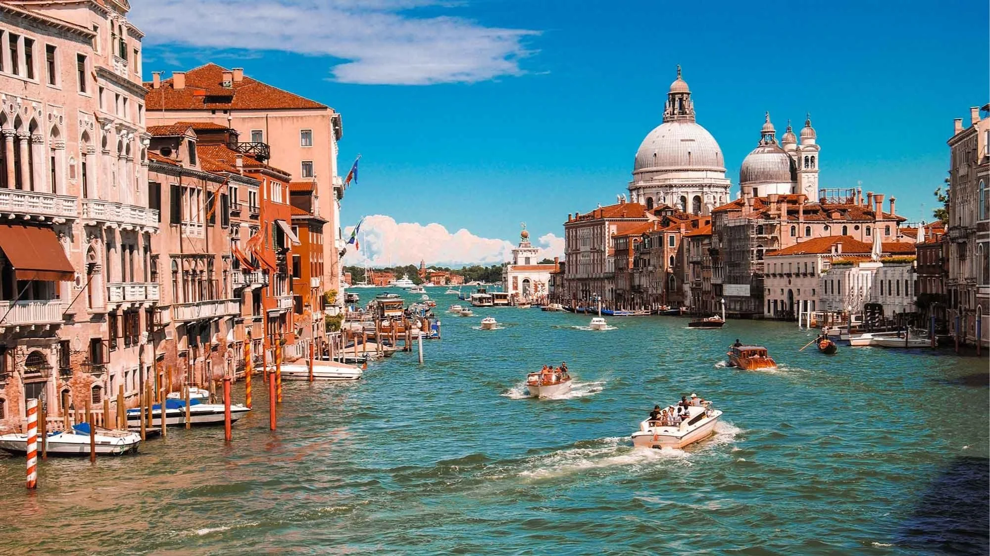 Venice Film Festival & Activity Guide