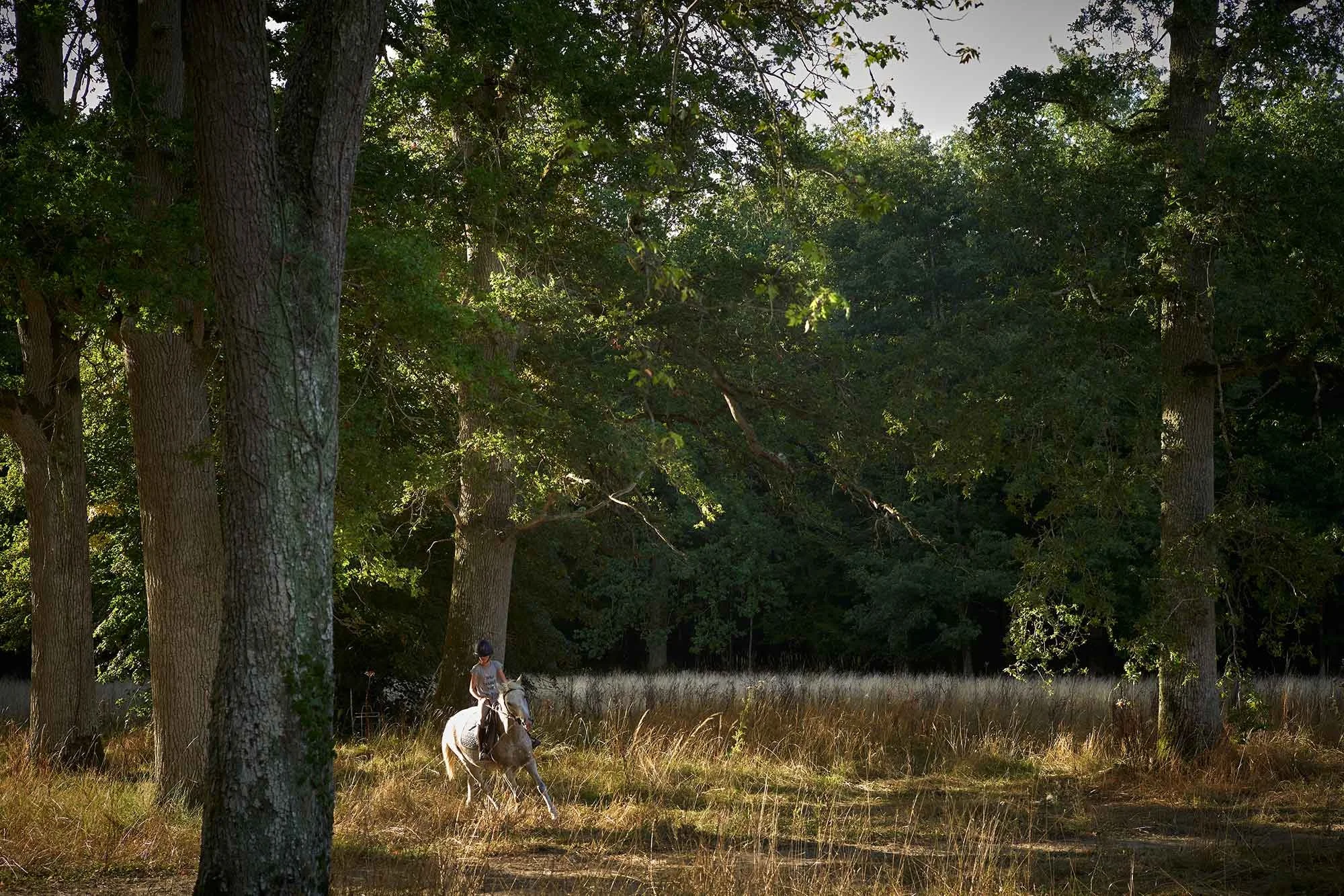 SDCheverny_Equitation_©MPMorel-2020-(3).jpg