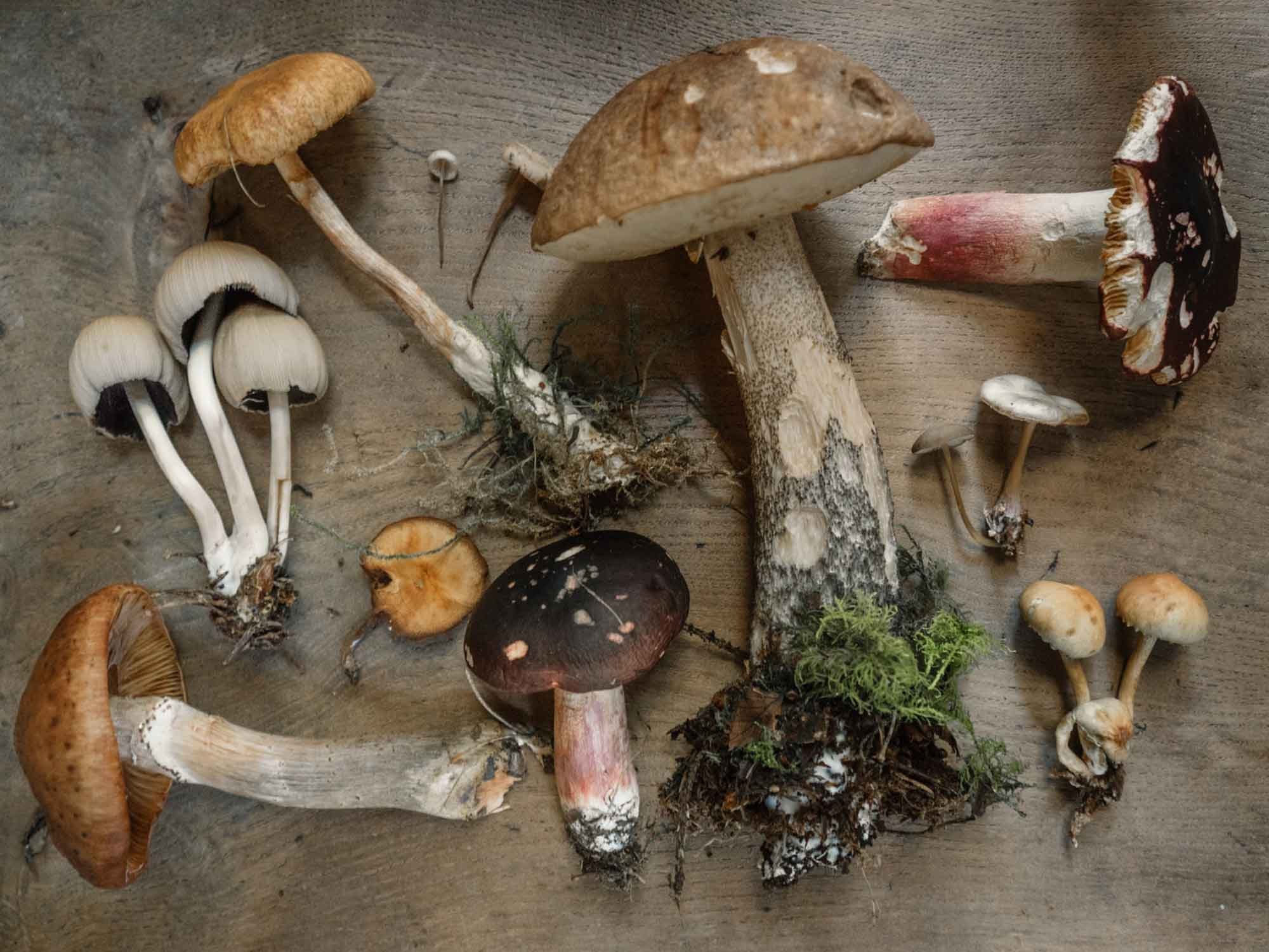 From the City to the Woods: Restaurants Taking Pride in the Hudson Valley’s Bountiful Harvest