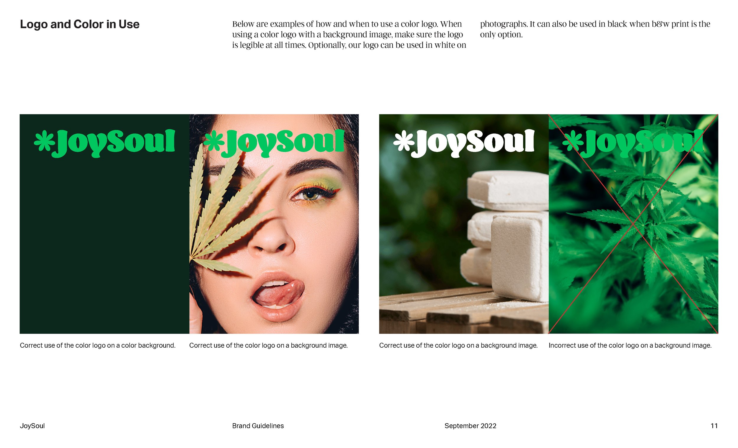 JoySoul_Brand Guidelines_Page_11.jpg