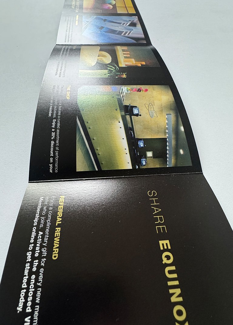 Artboard 1 copy 13.jpg