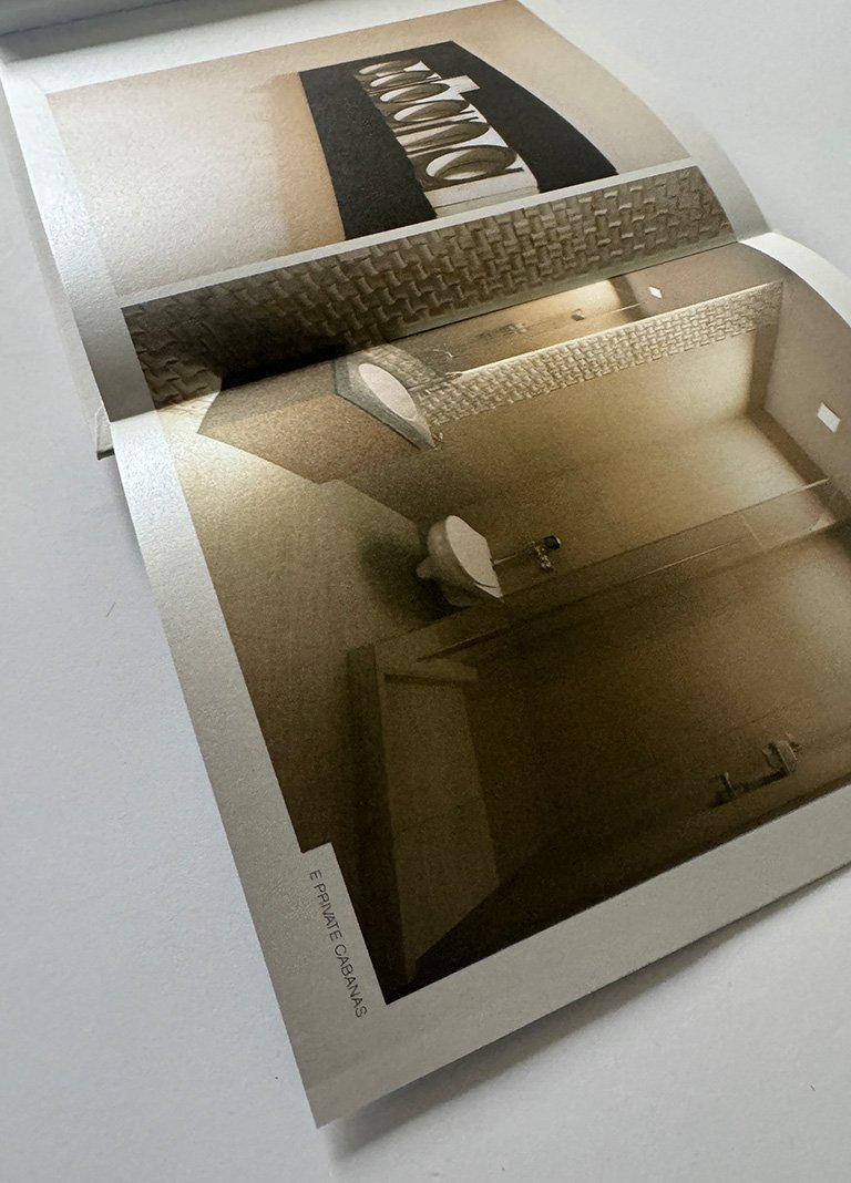 Artboard 1 copy 7.jpg