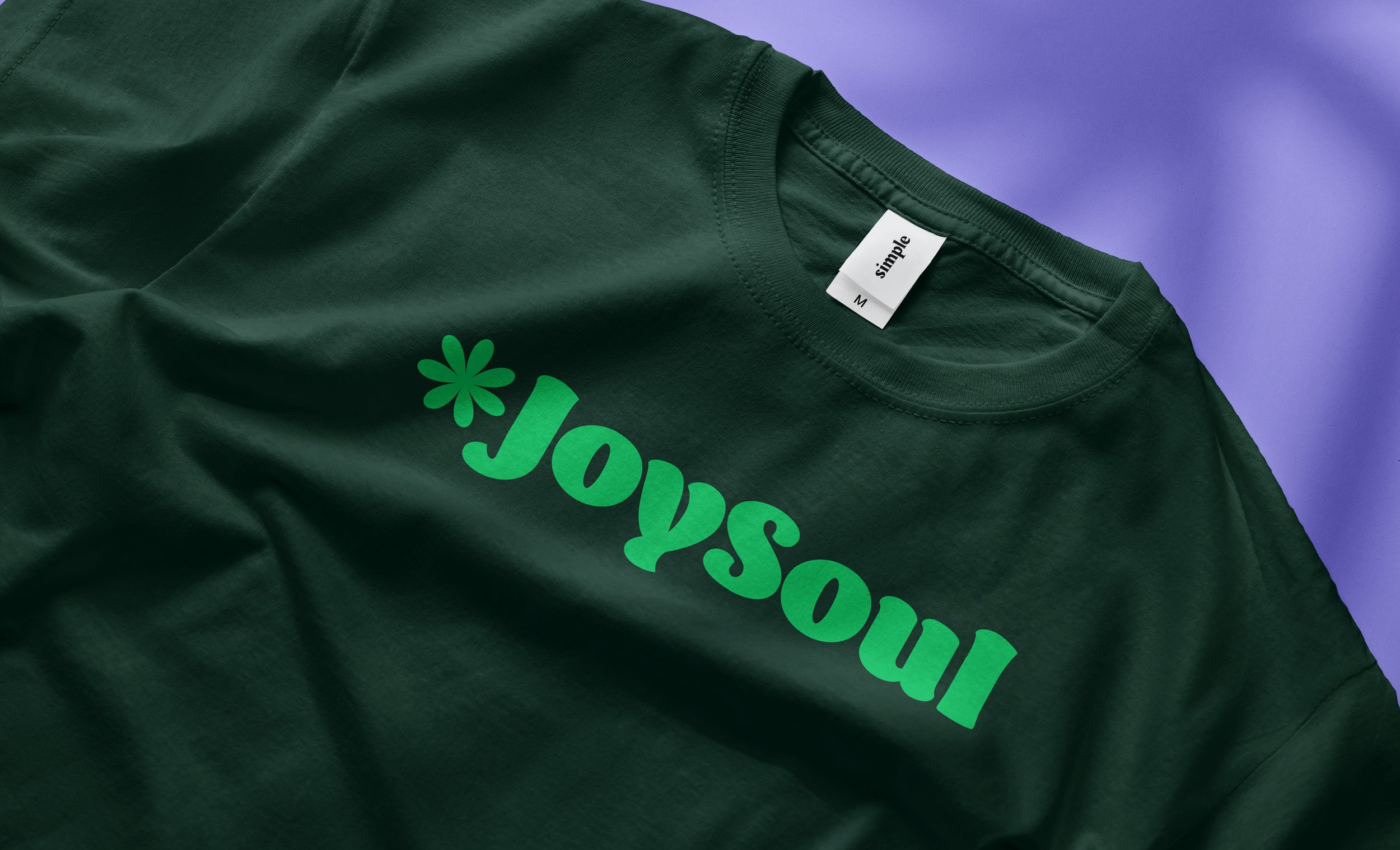 JoySoul_Brand Guidelines_Page_19.jpg