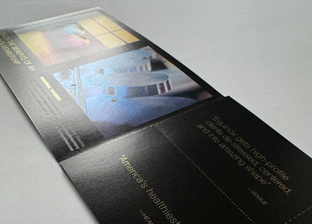 Artboard 1 copy 12.jpg