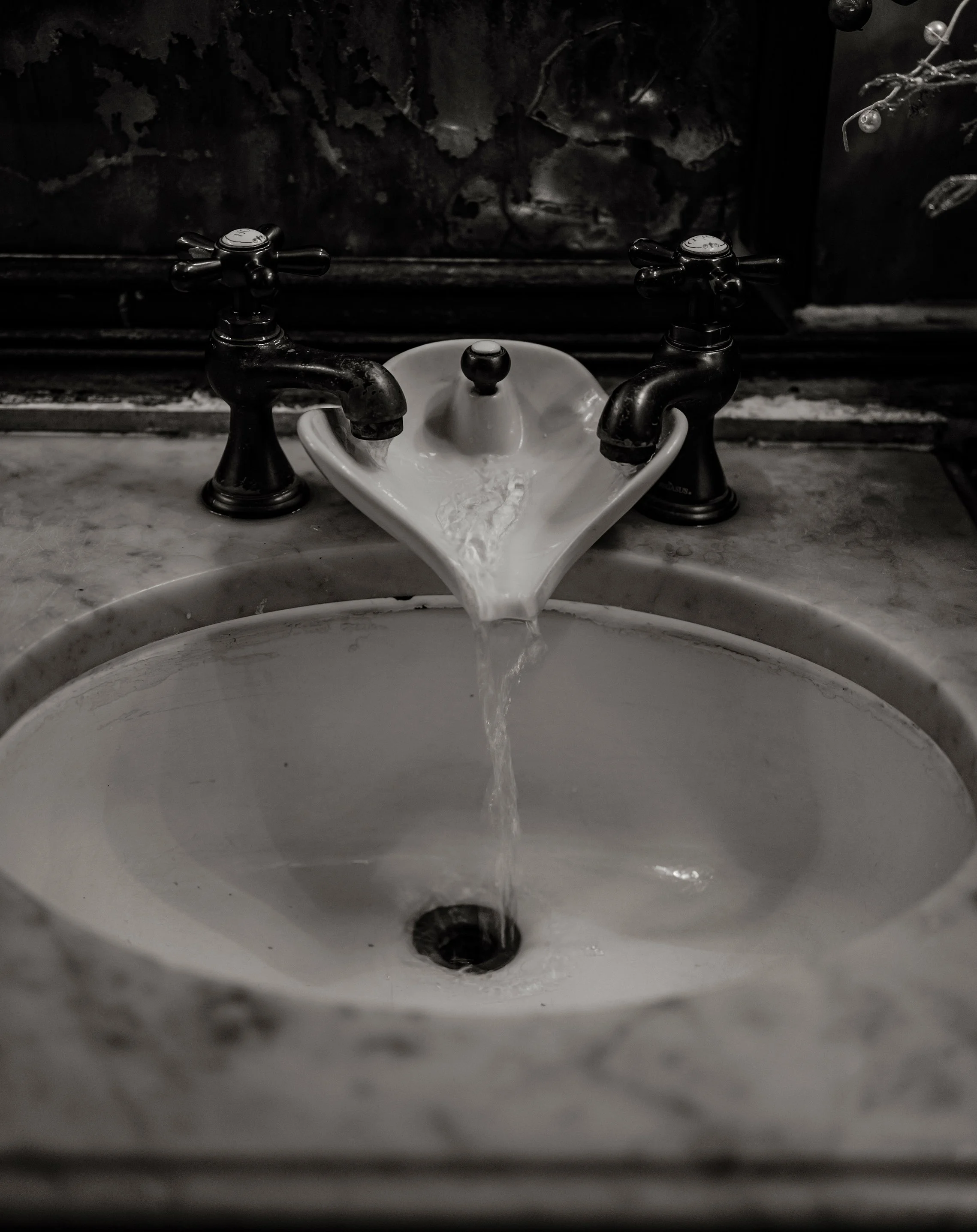 L1005161.jpg