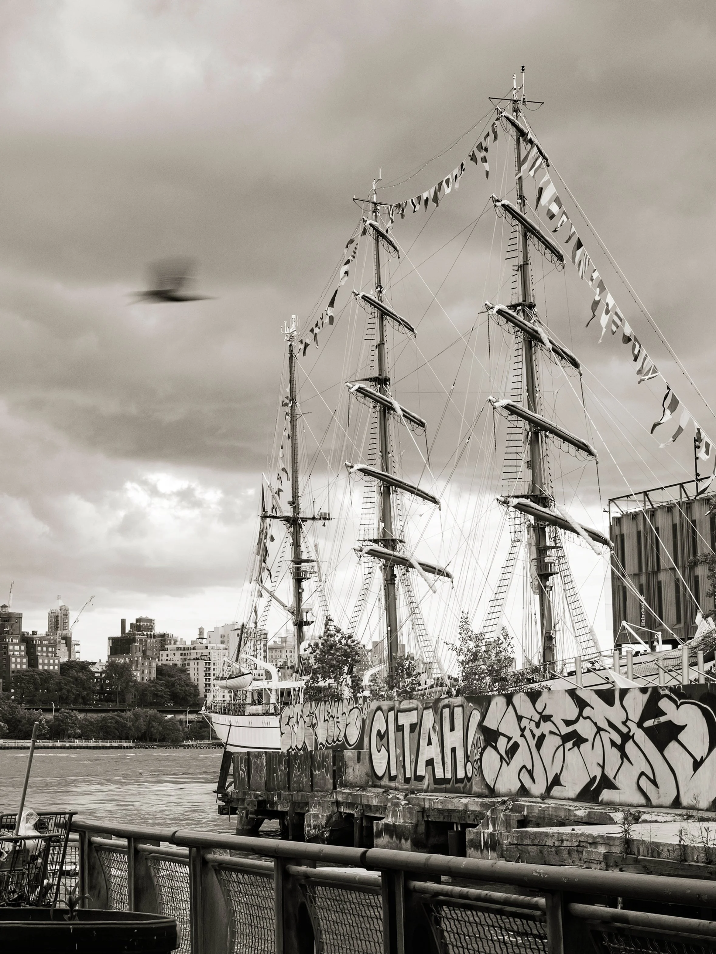 L1005431.jpg
