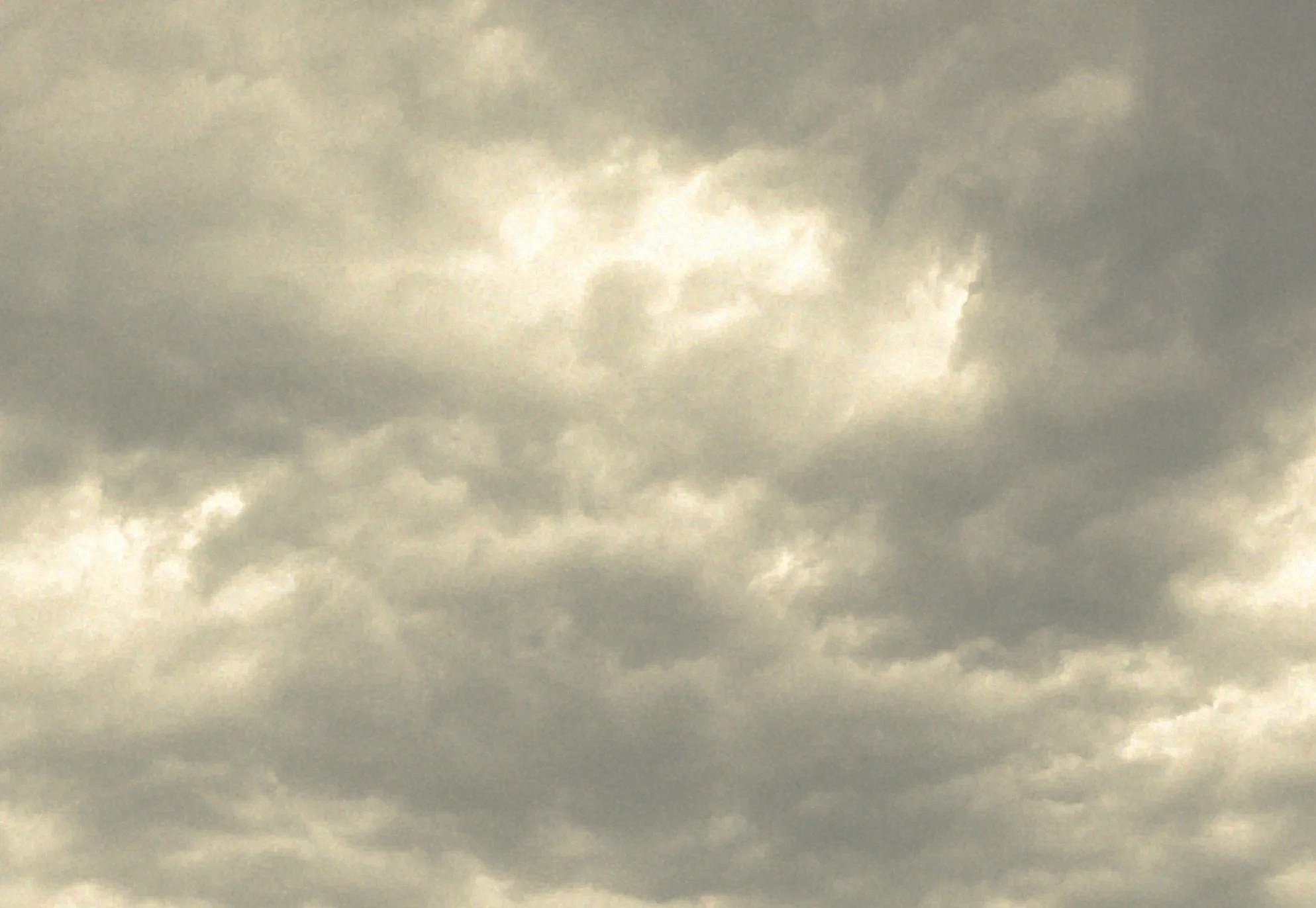THE LIGHT I WAIT FOR: WHY I LOVE OVERCAST DAYS FOR PHOTOGRAPHY