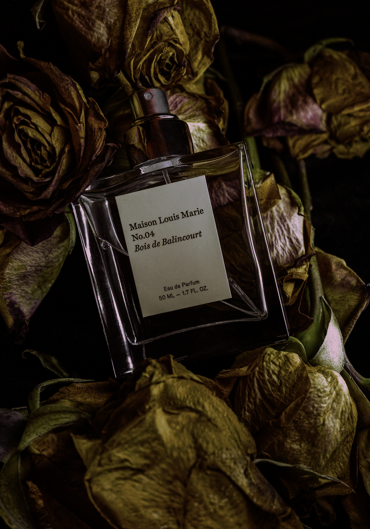 Leticia Valdez Fotografia Maison Louis Marie.jpeg