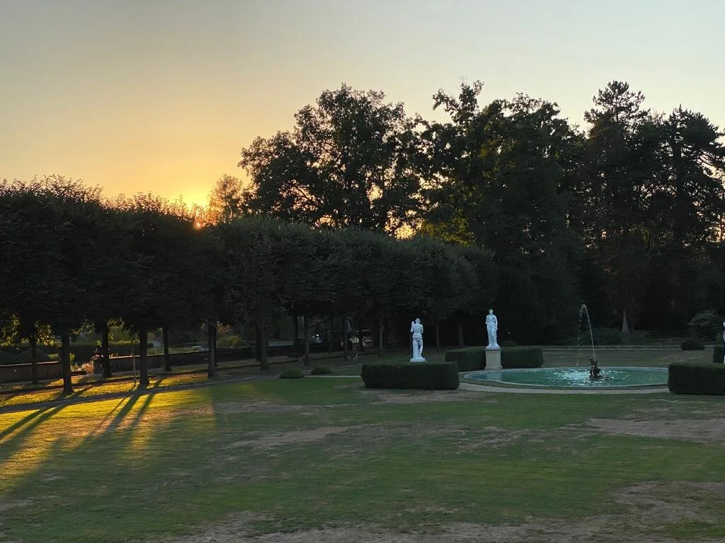 WhatsApp Image 2020-08-08 at 02.00.43 (1).jpeg