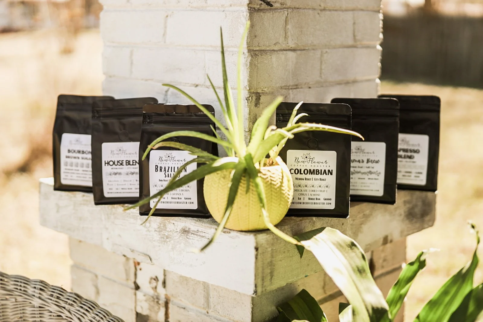 New Flower Coffee Roaster