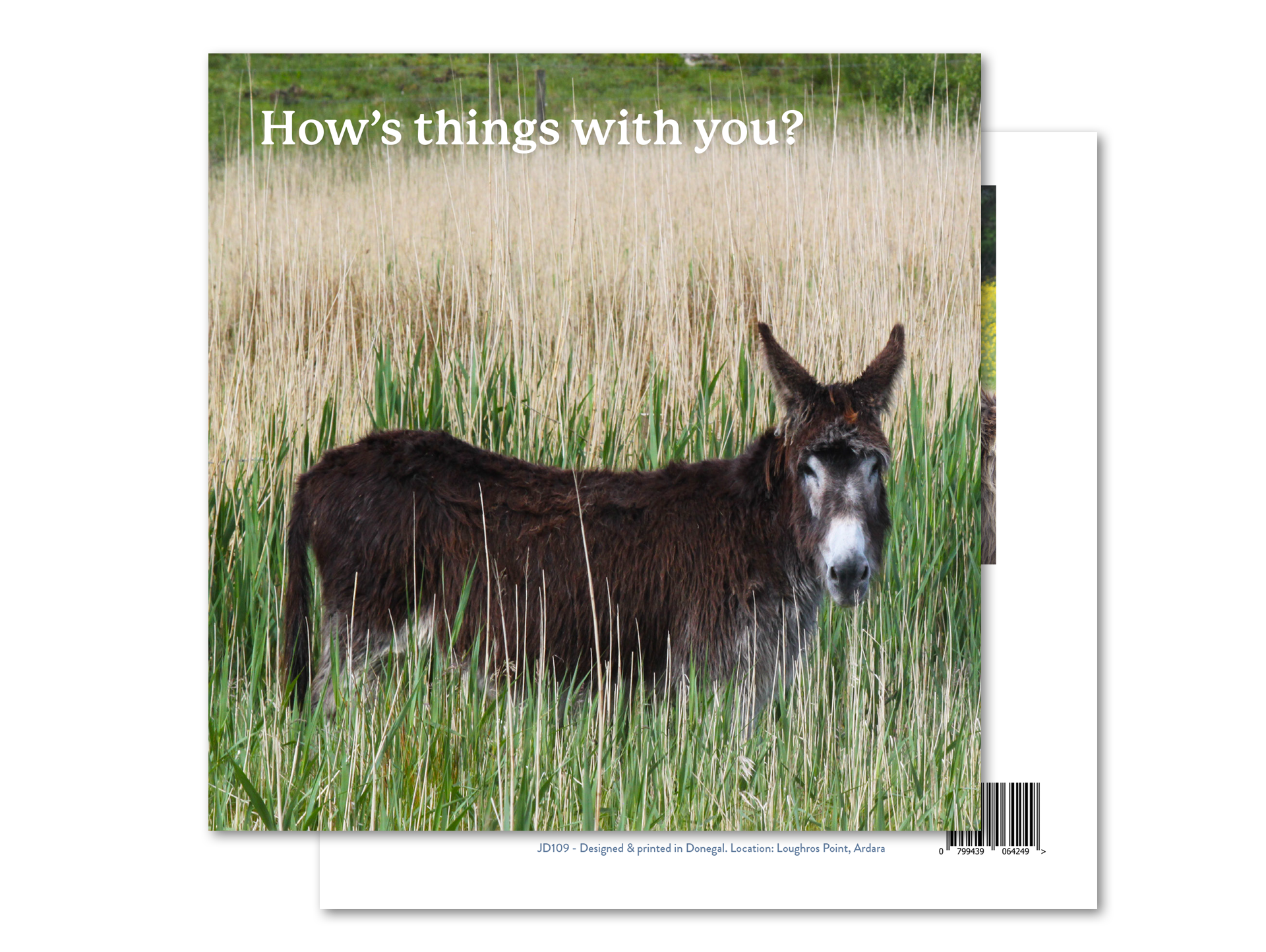 How's Things with You? - Donegal Dreaming