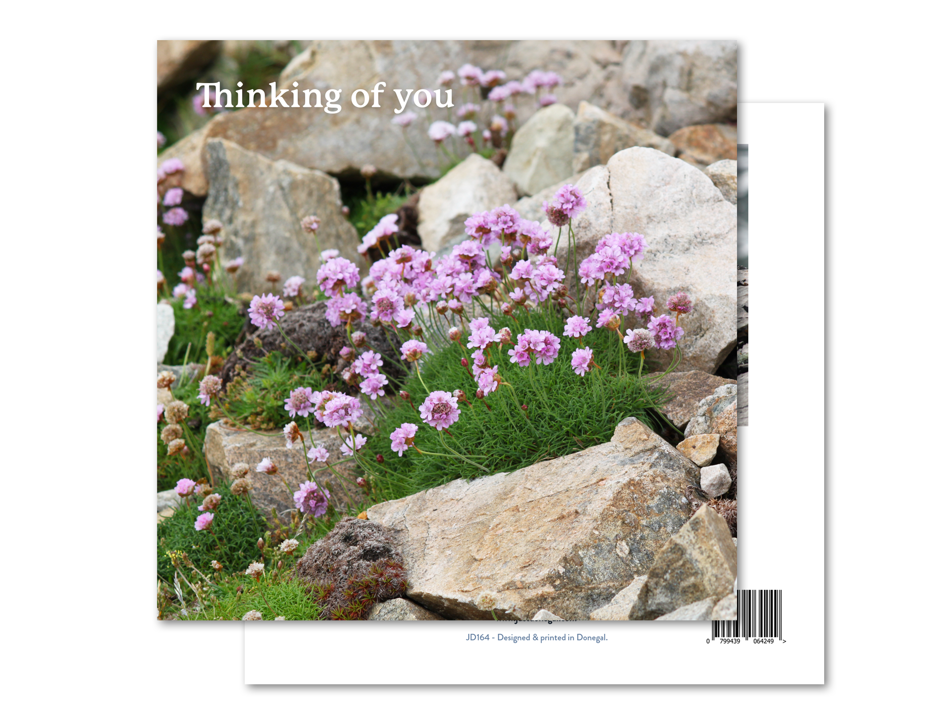 Thinking of You - Purple Wildflowers