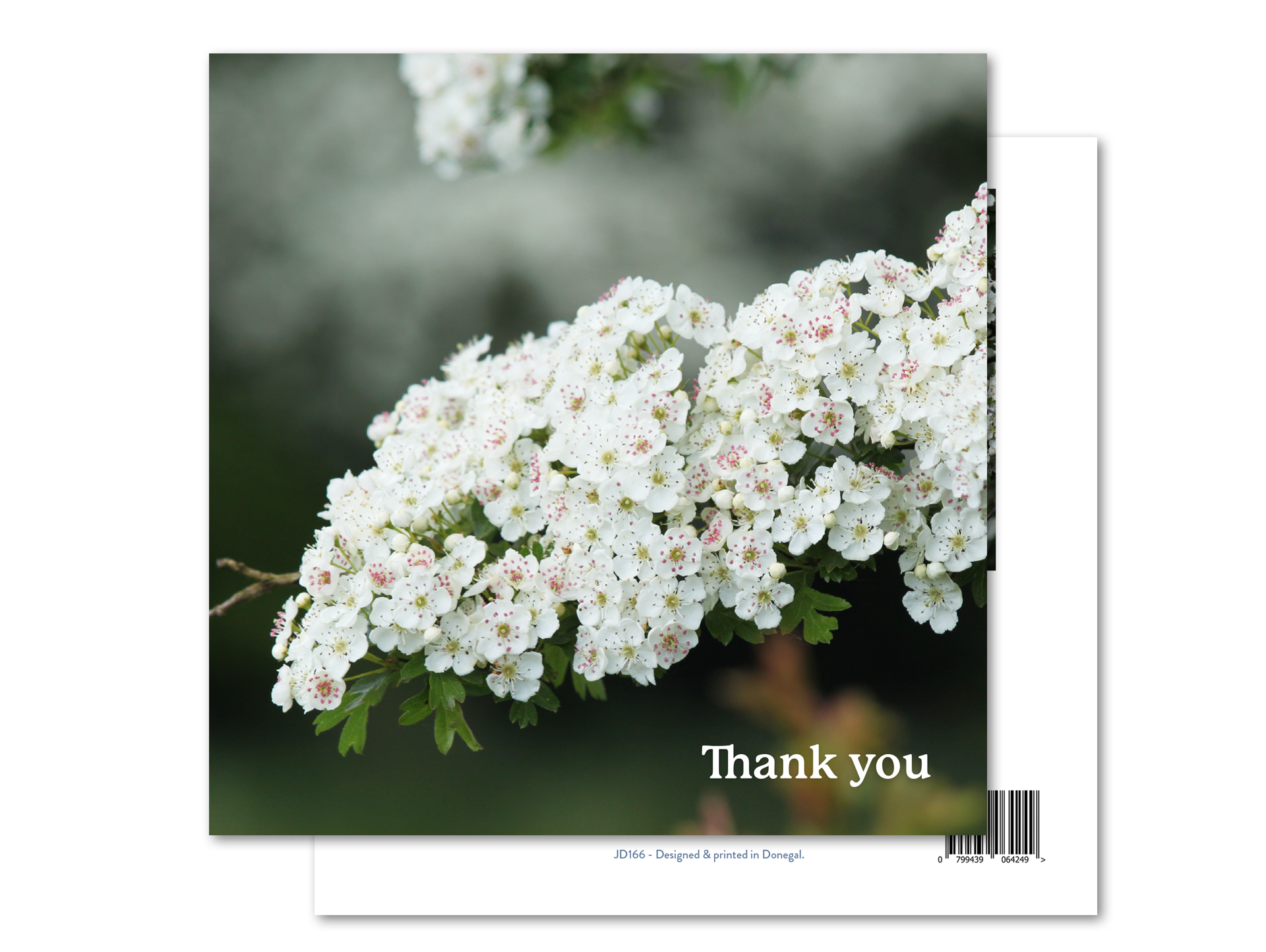 Thank You - White Blossoms