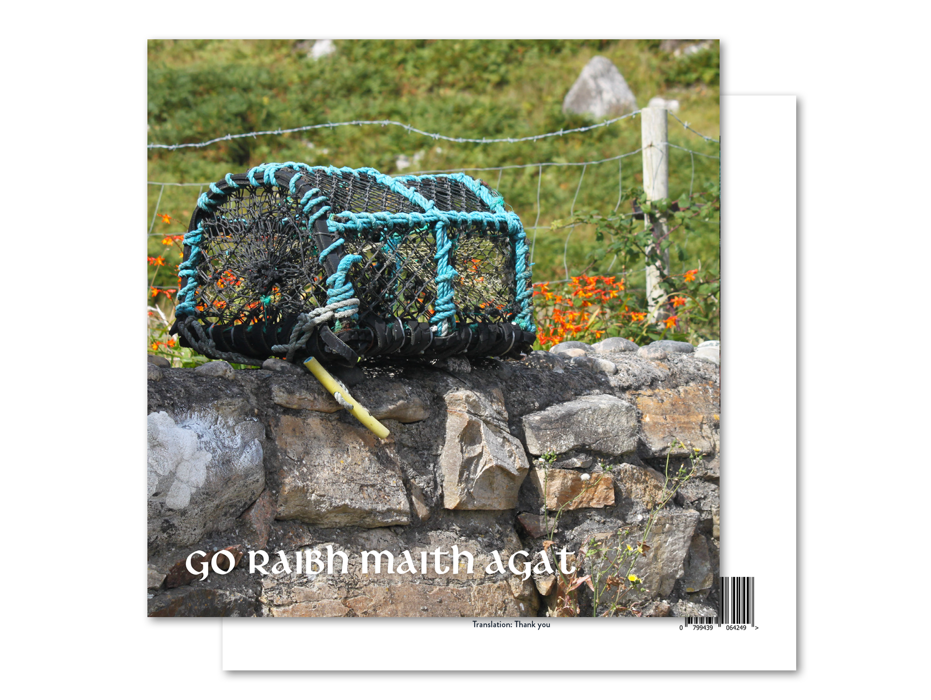 Go Raibh Maith Agat - Lobster Pot